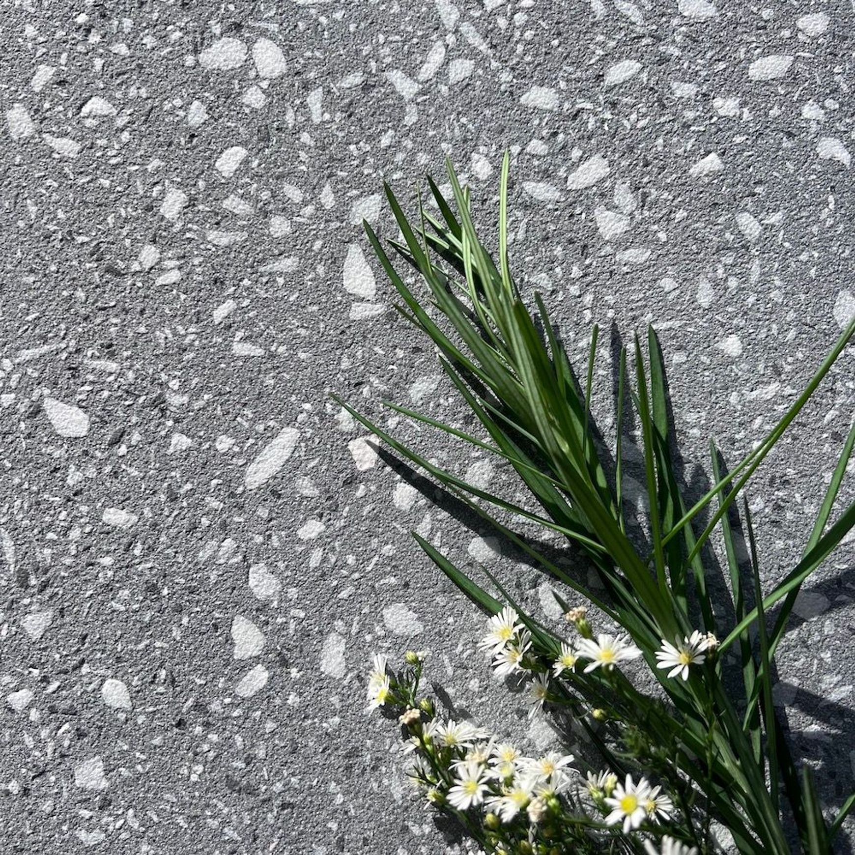 Di Lusso Terrazzo