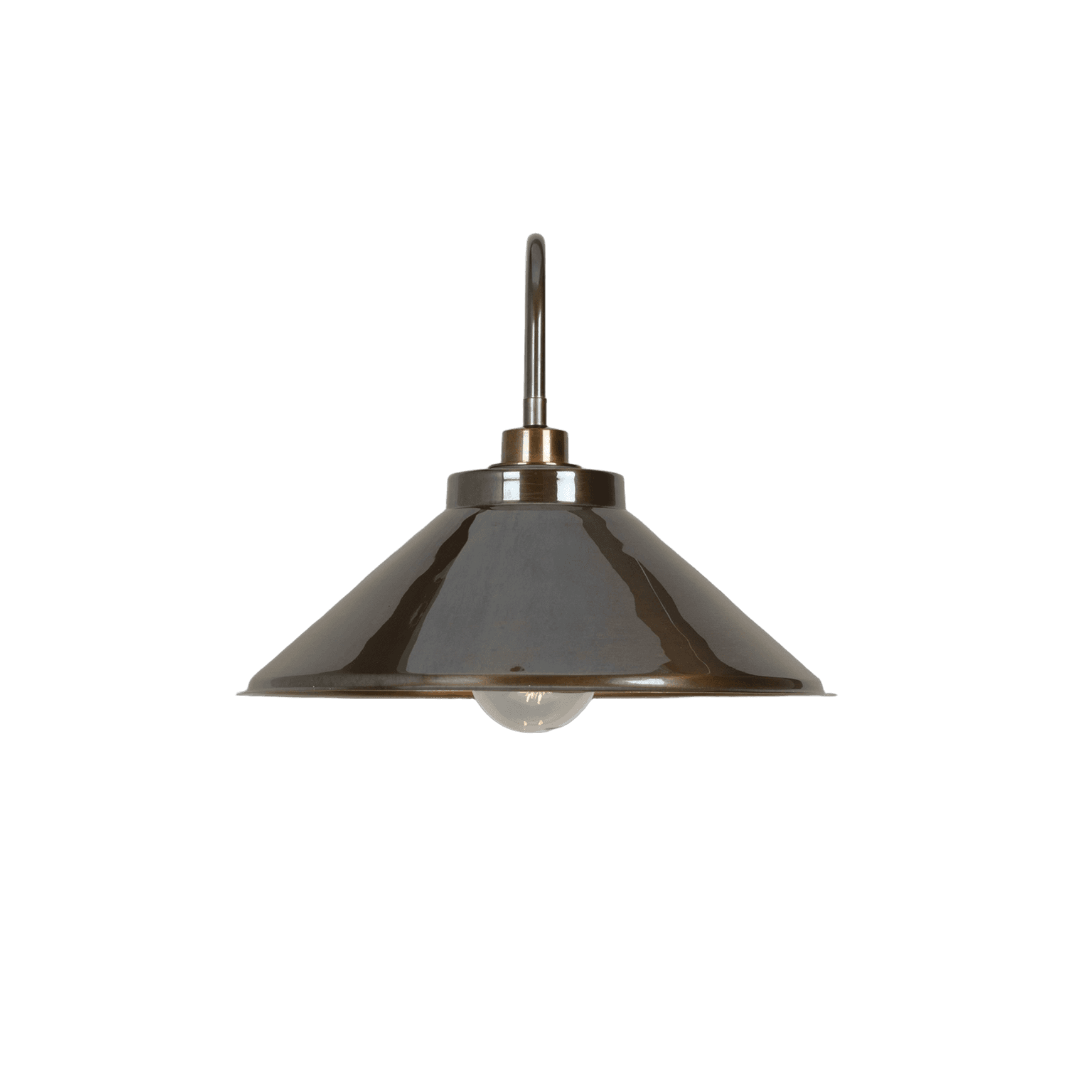 Nerissa Swan Neck Wall Light