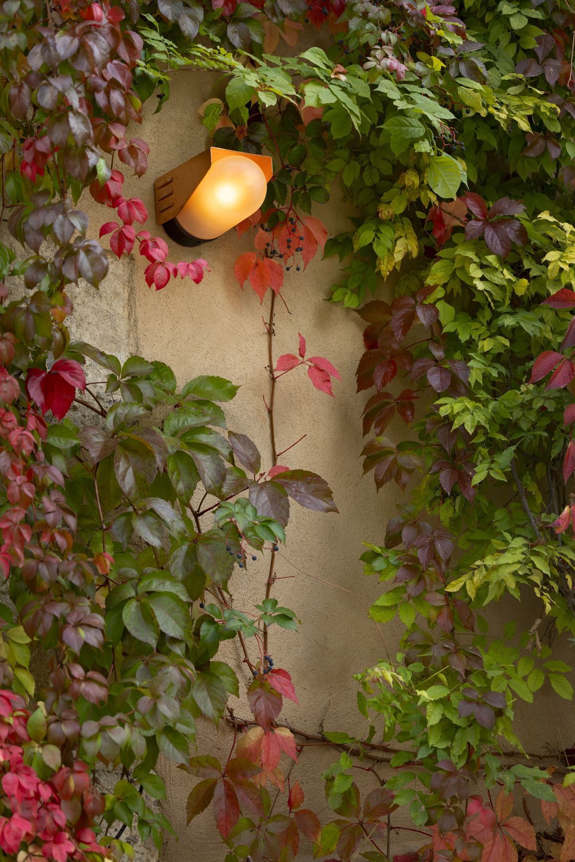 RP195 Model 1 Wall Light
