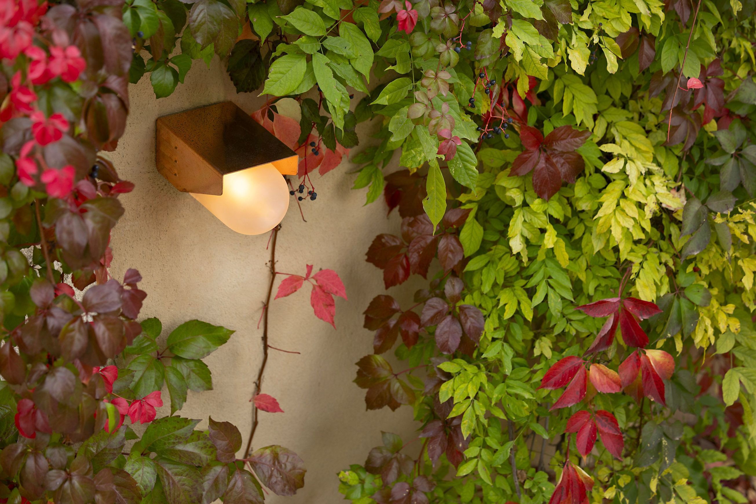 RP195 Model 1 Wall Light