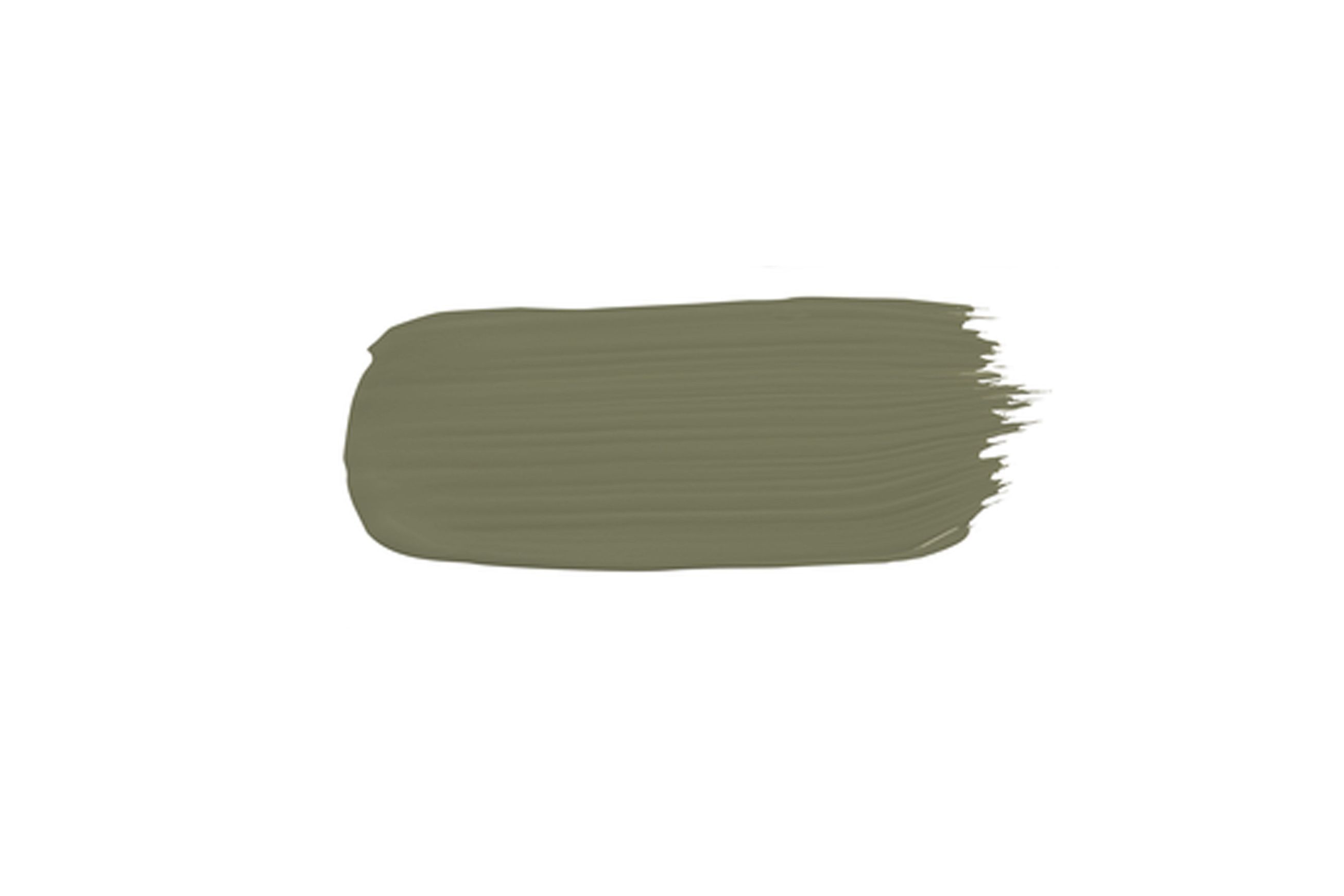 Eggshell Acrylic Paint in Timberline 