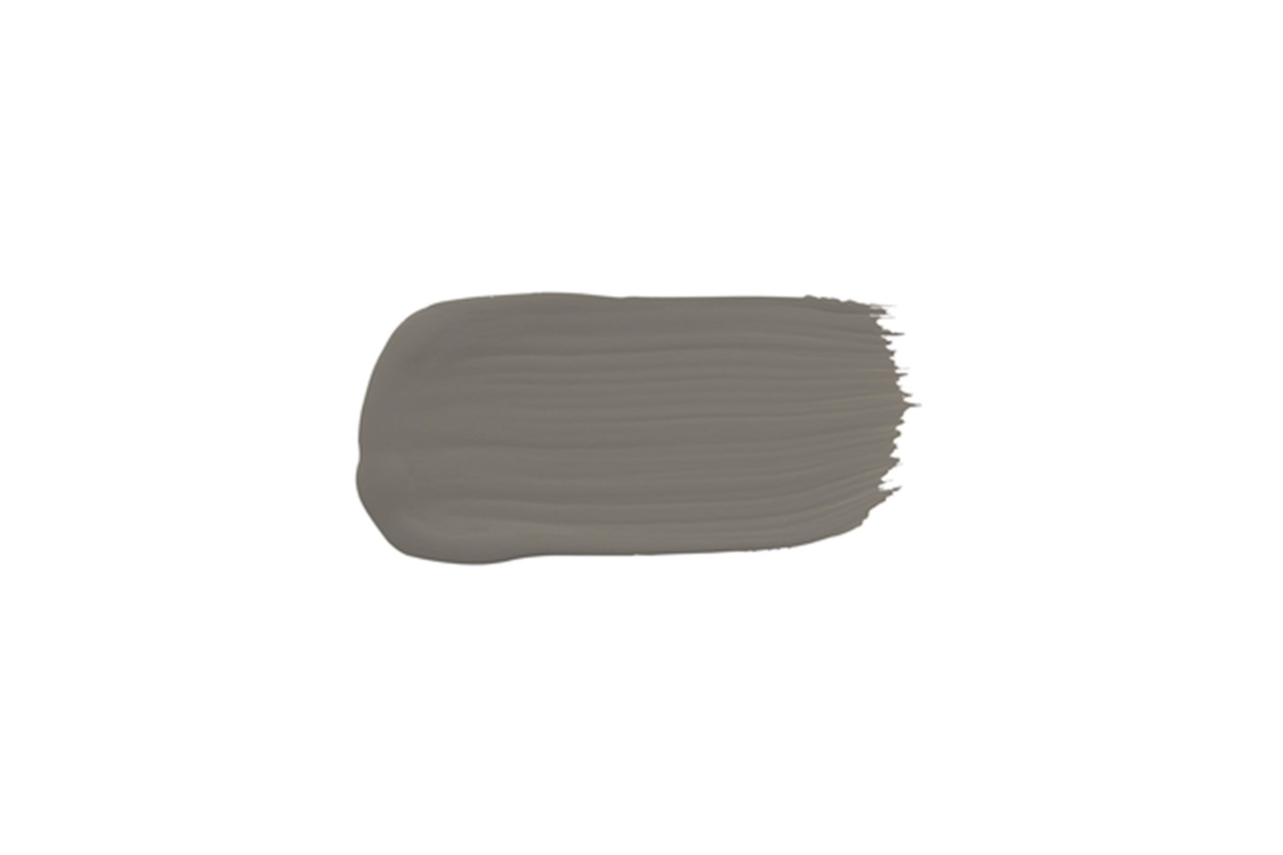 Eggshell Acrylic Paint in Wattleseed