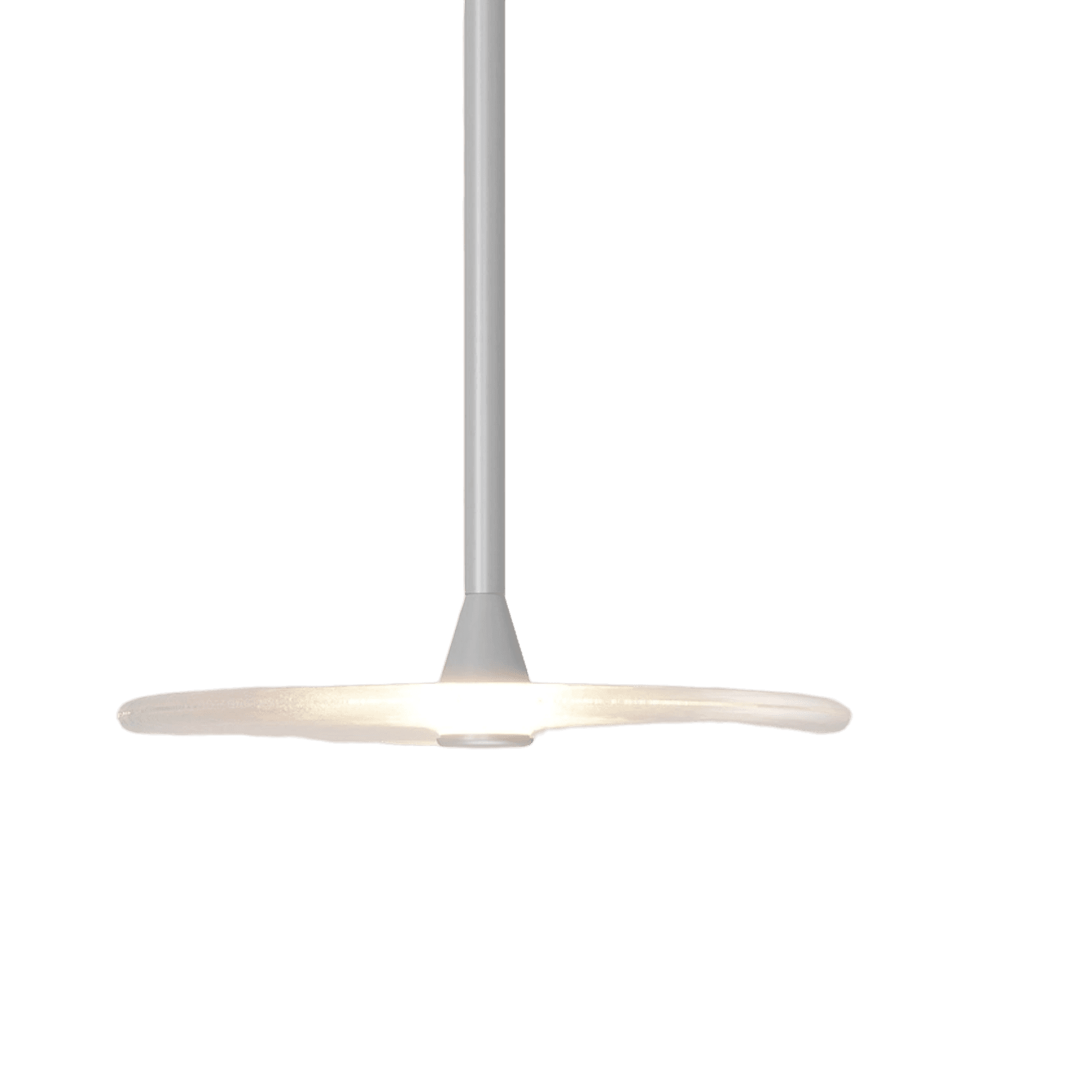 Coral Single Pendant - Clear Glass