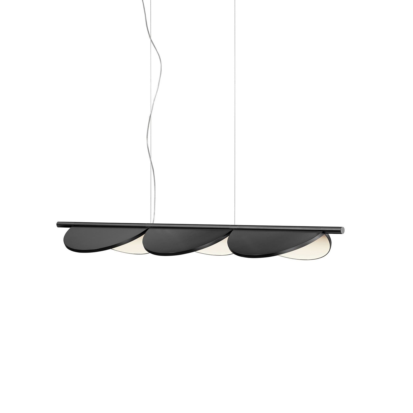 Almendra Linear
