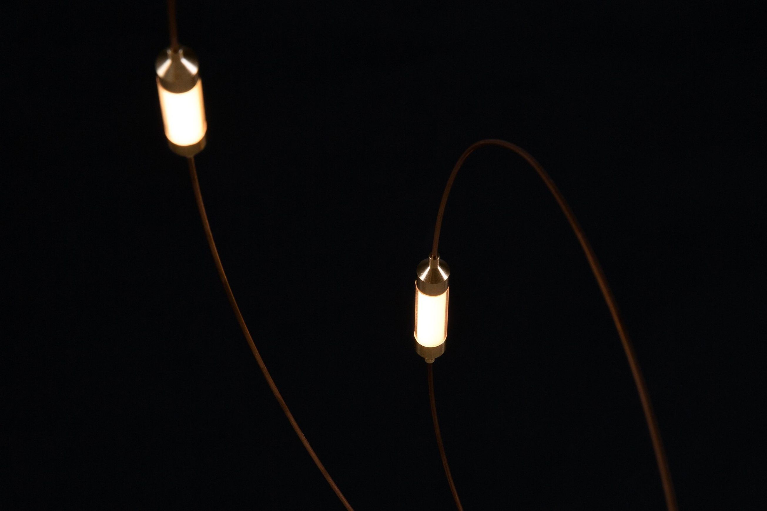 Flock of Light