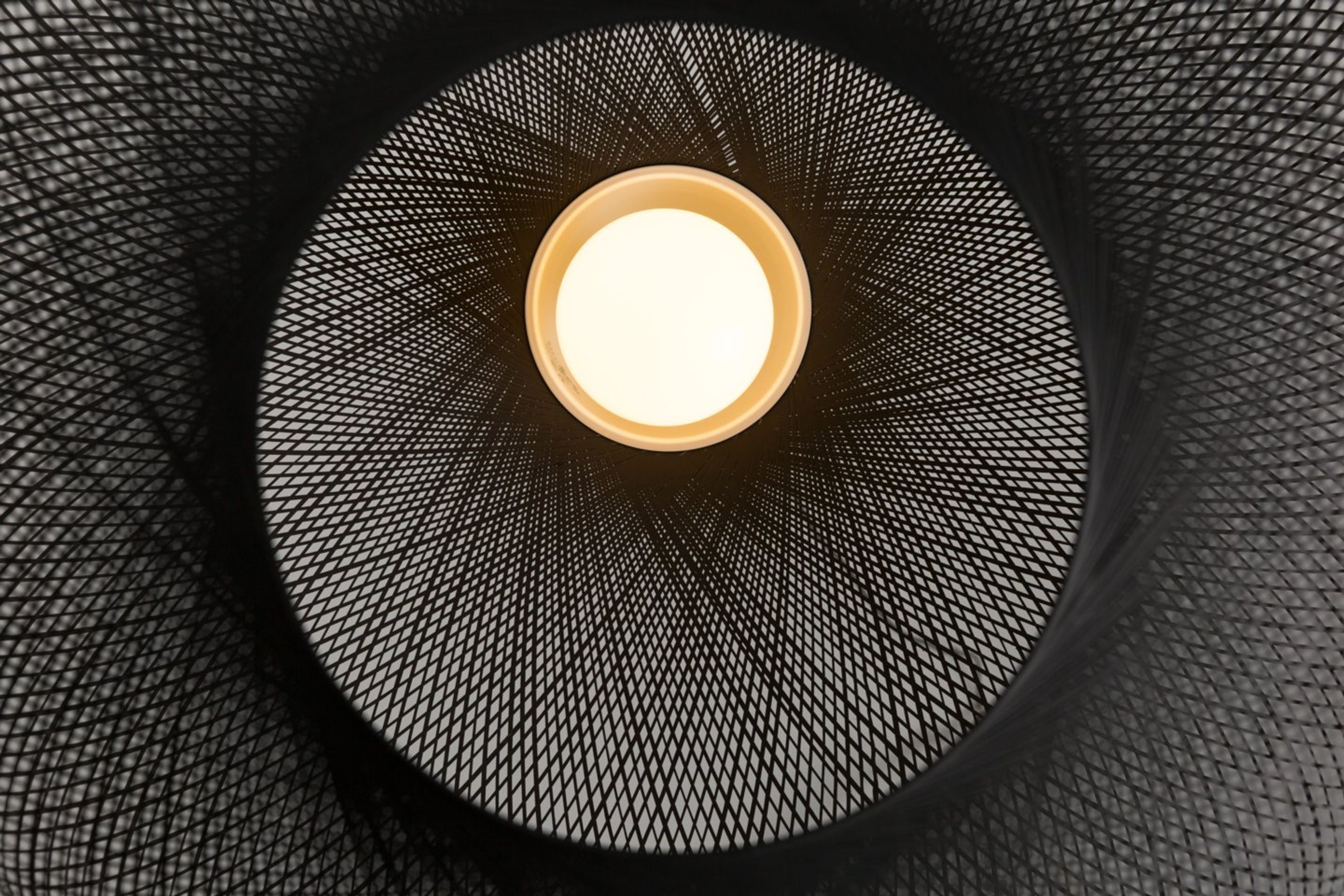 Non Random Small | Suspension Lamp