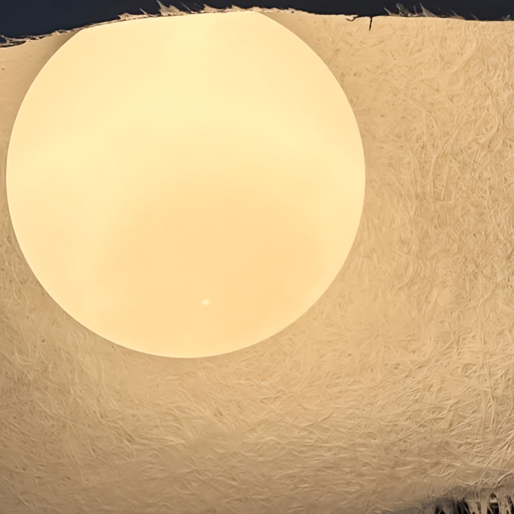 Moby Dick Pendant Light