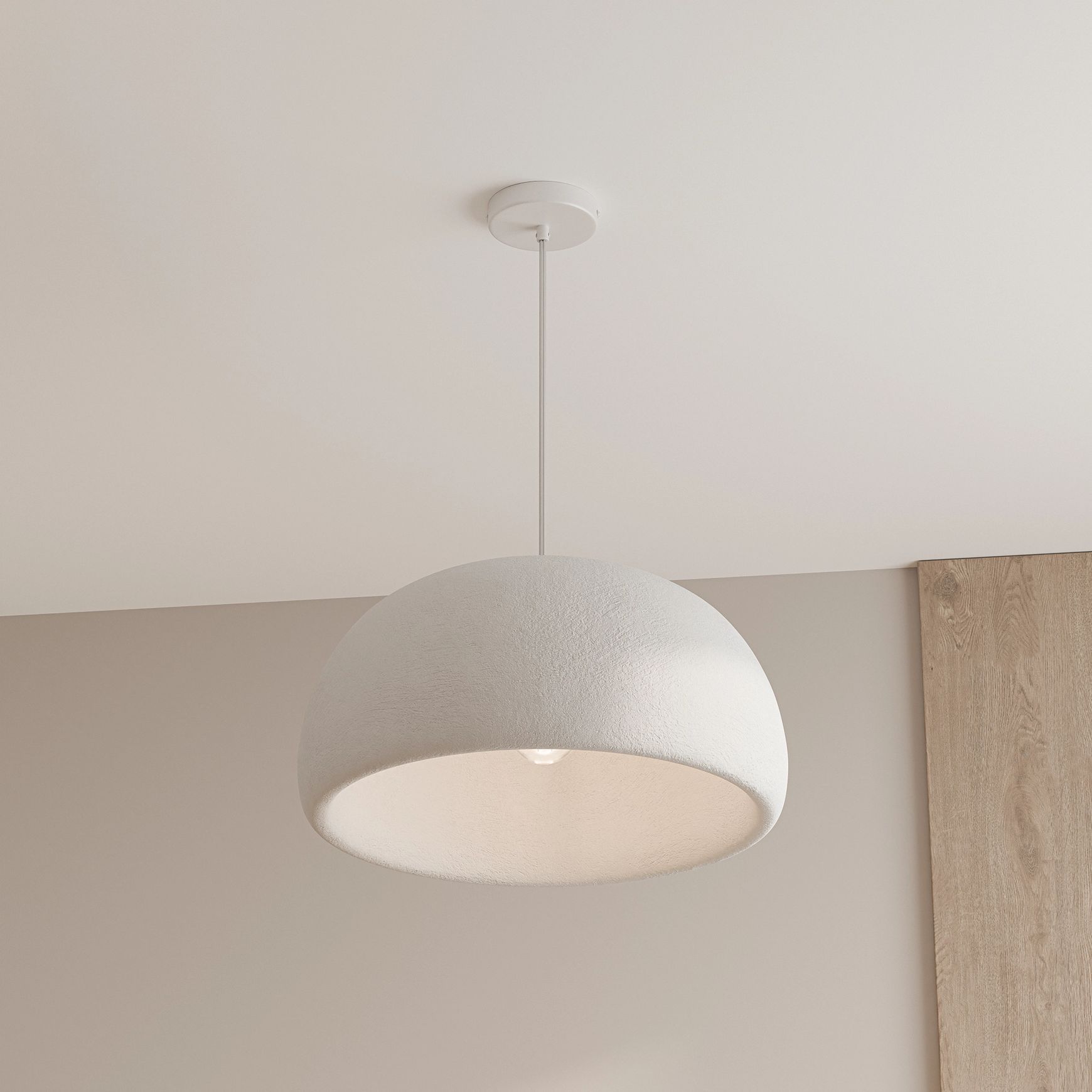 Passerine Wabi-Sabi Polymer Resin Pendant Light