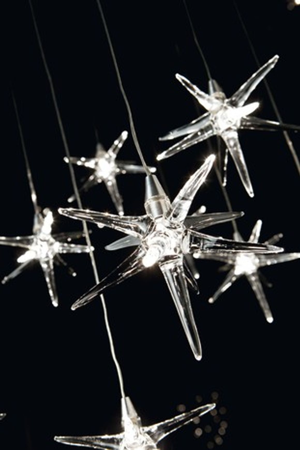 Stella Pendant Light