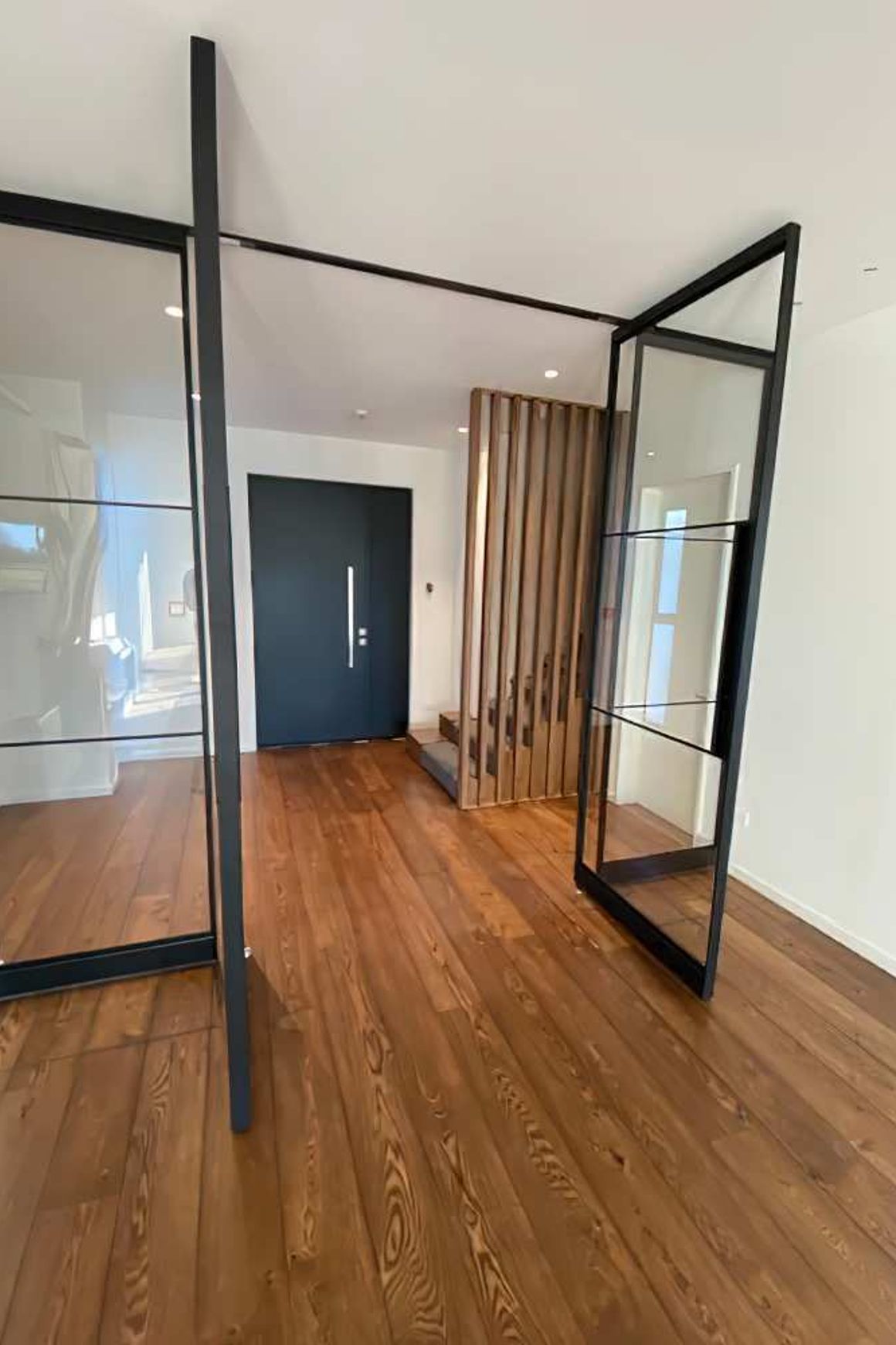 Pivot Steel Doors