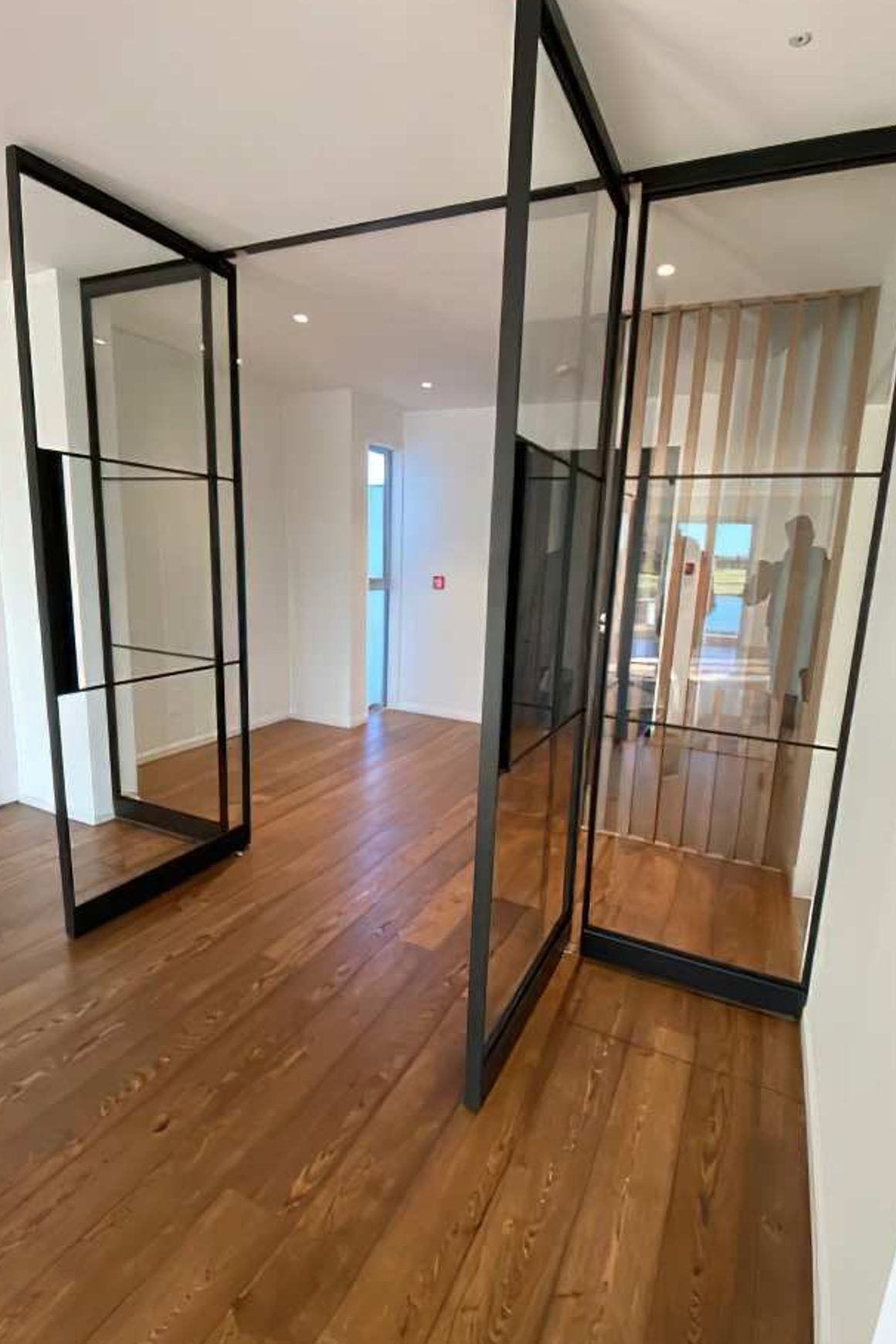 Pivot Steel Doors