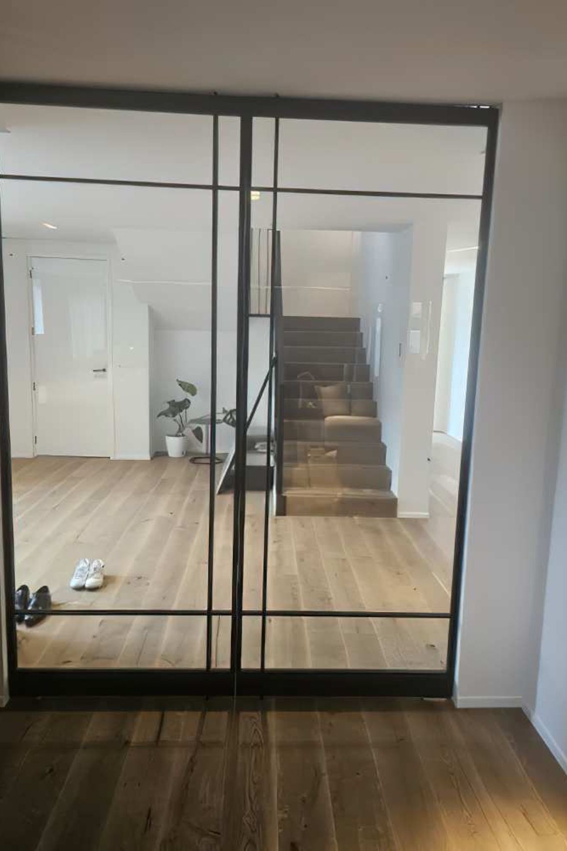 Pivot Steel Doors