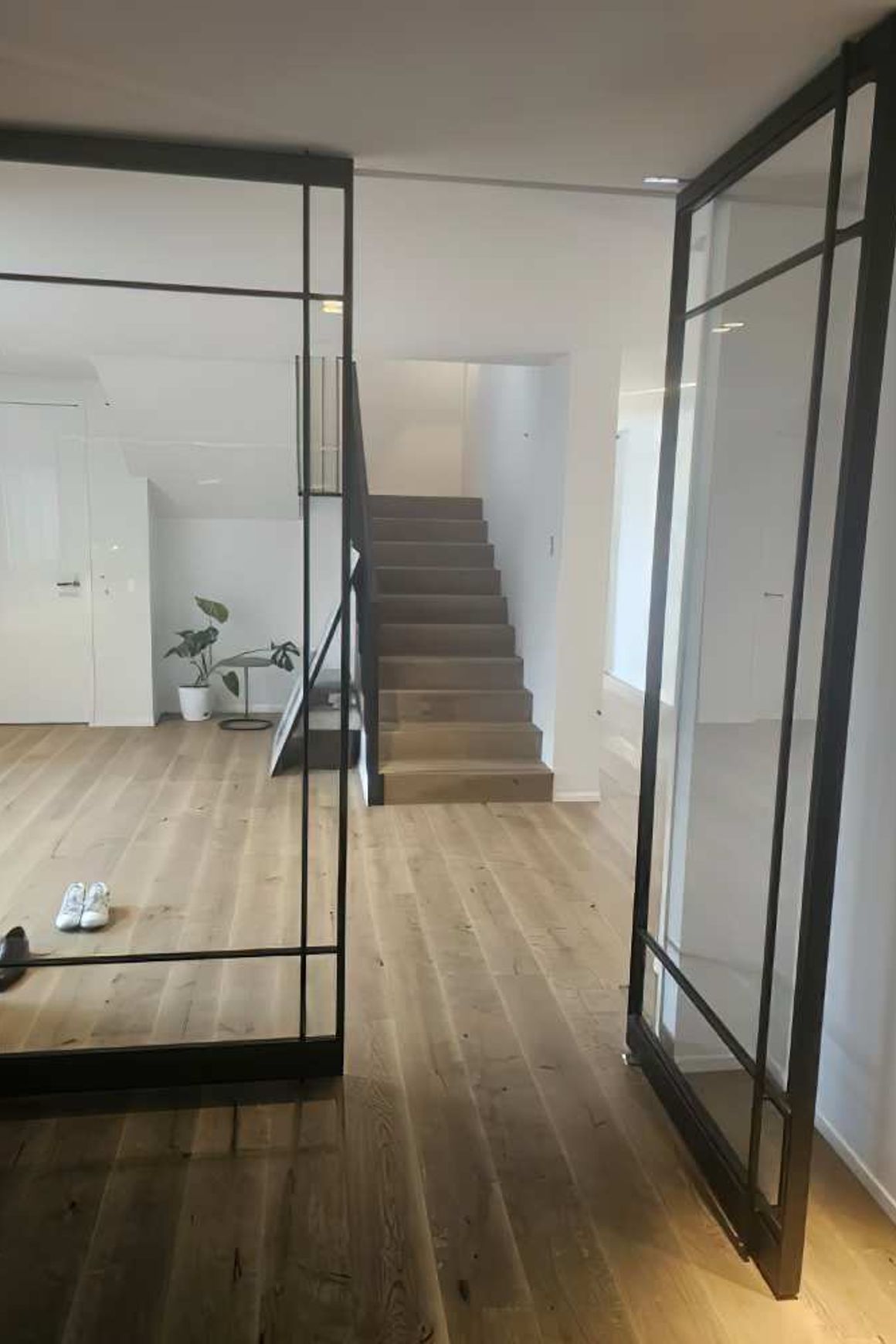 Pivot Steel Doors