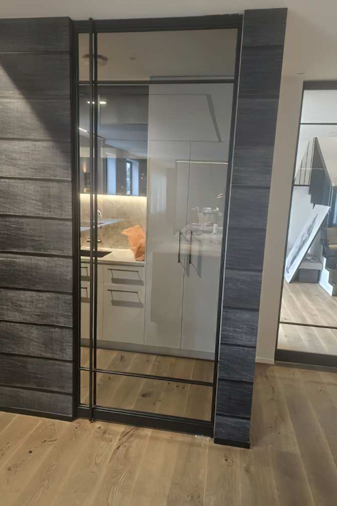 Pivot Steel Doors