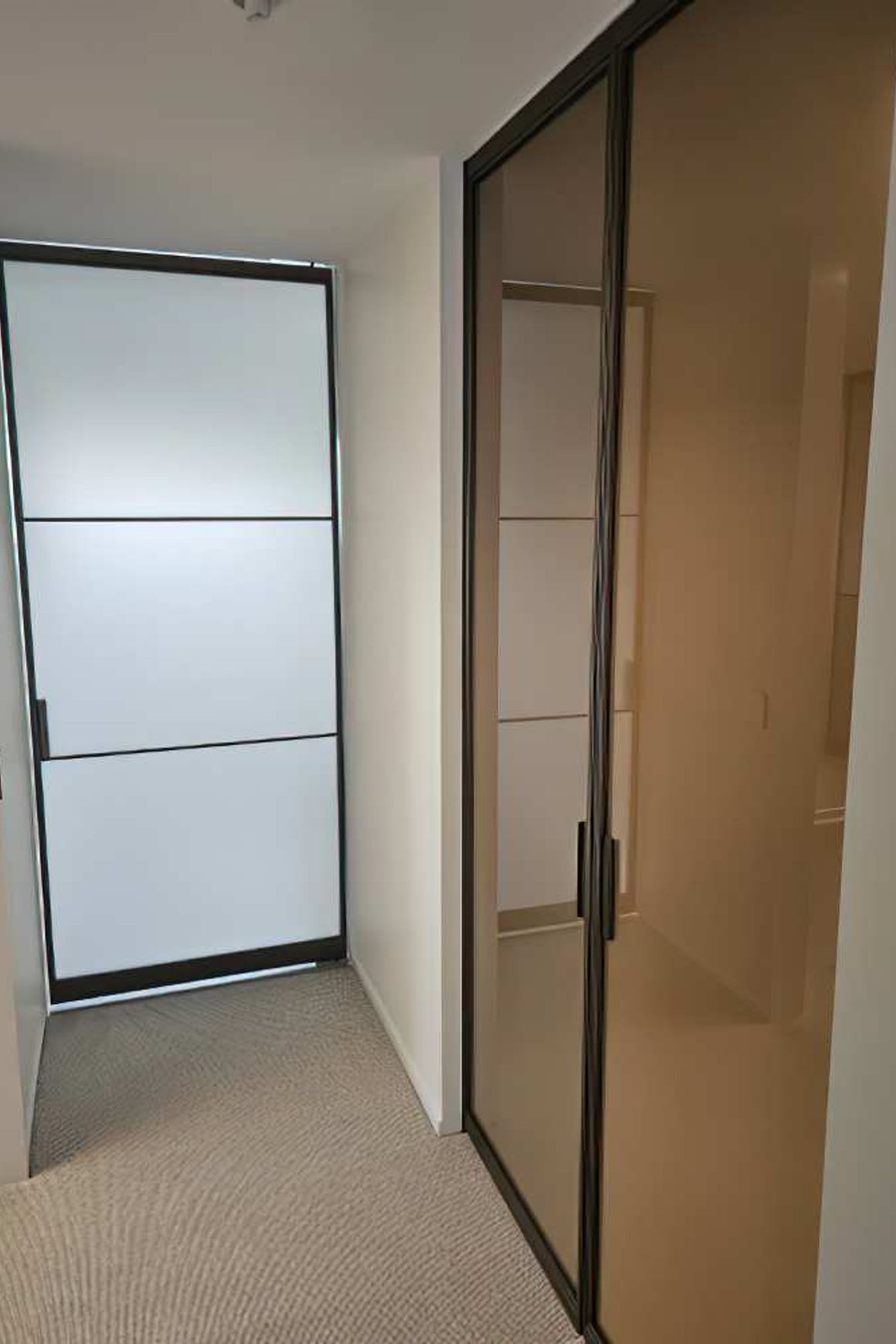 Pivot Steel Doors