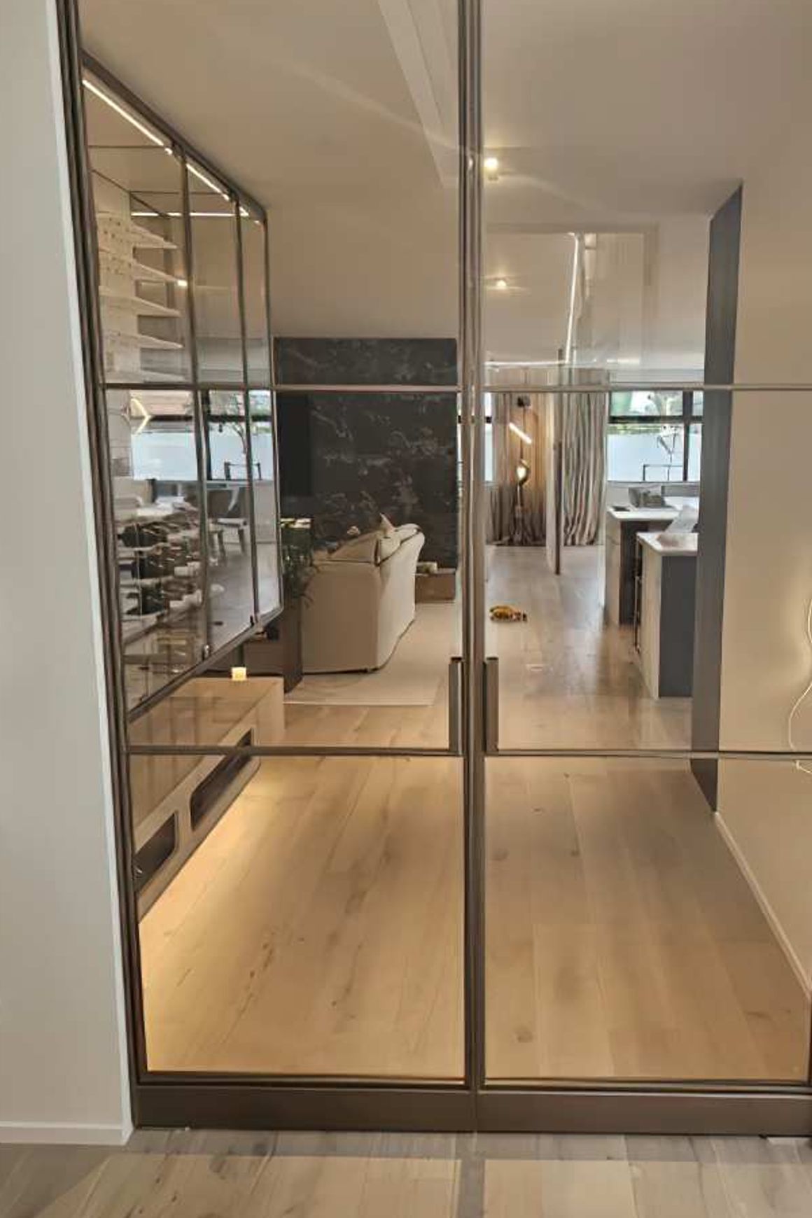 Pivot Steel Doors
