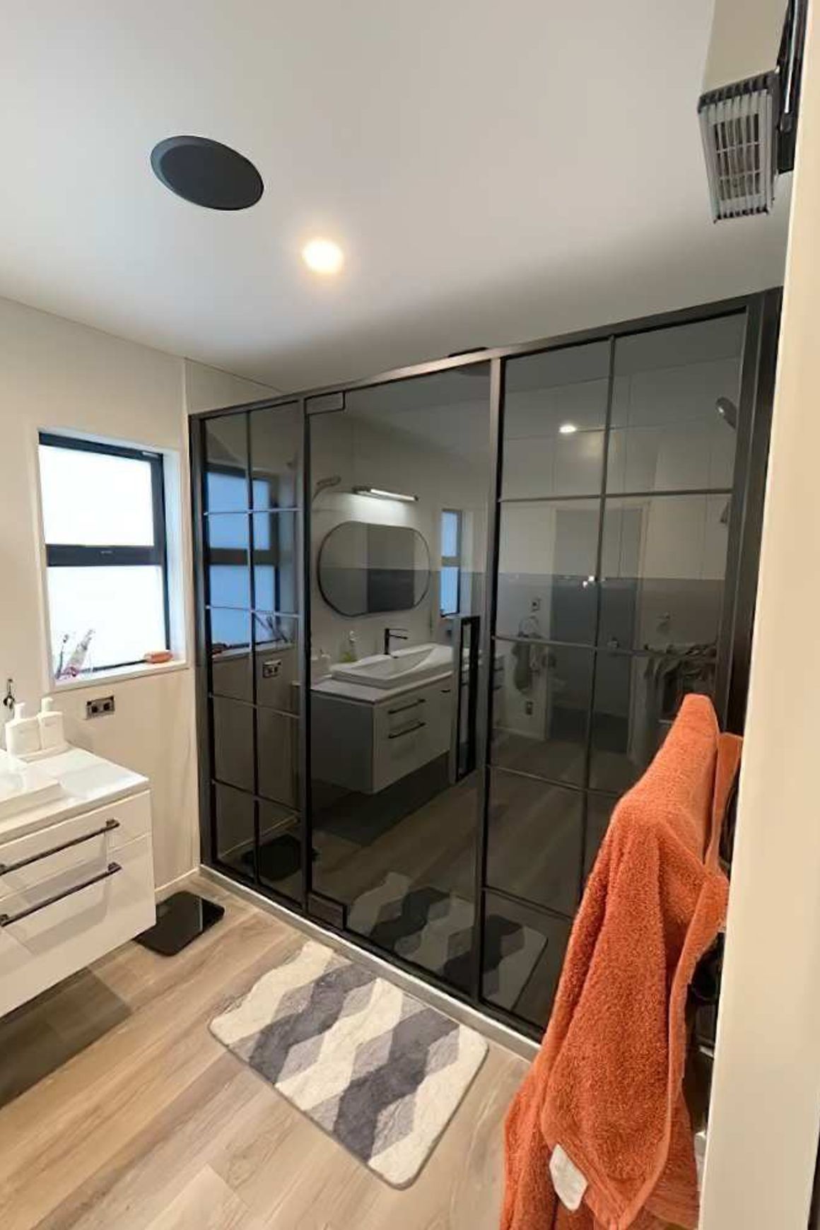 Pivot Steel Doors