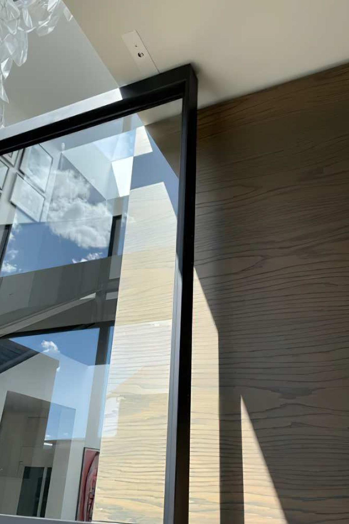 Pivot Steel Doors
