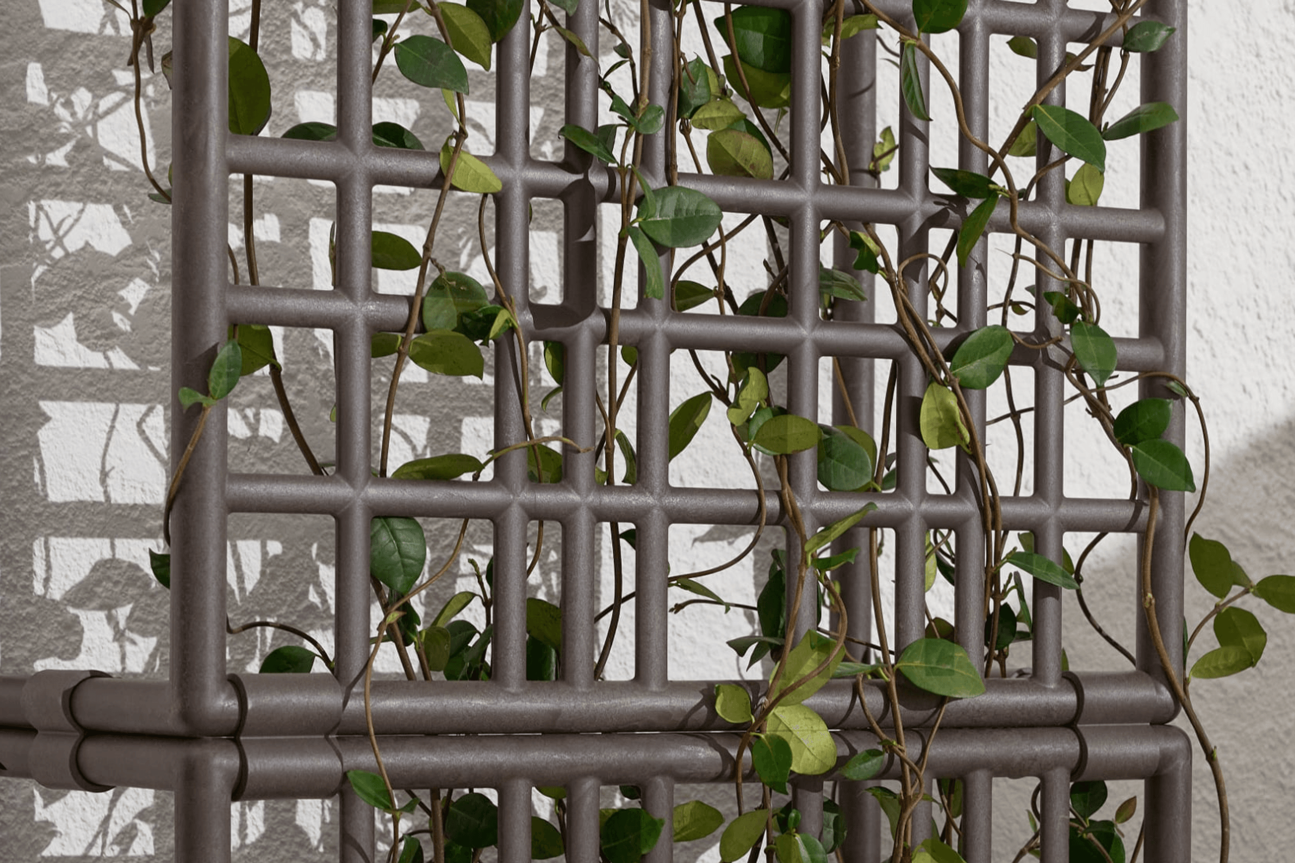 Sipario Eco Wall Planter