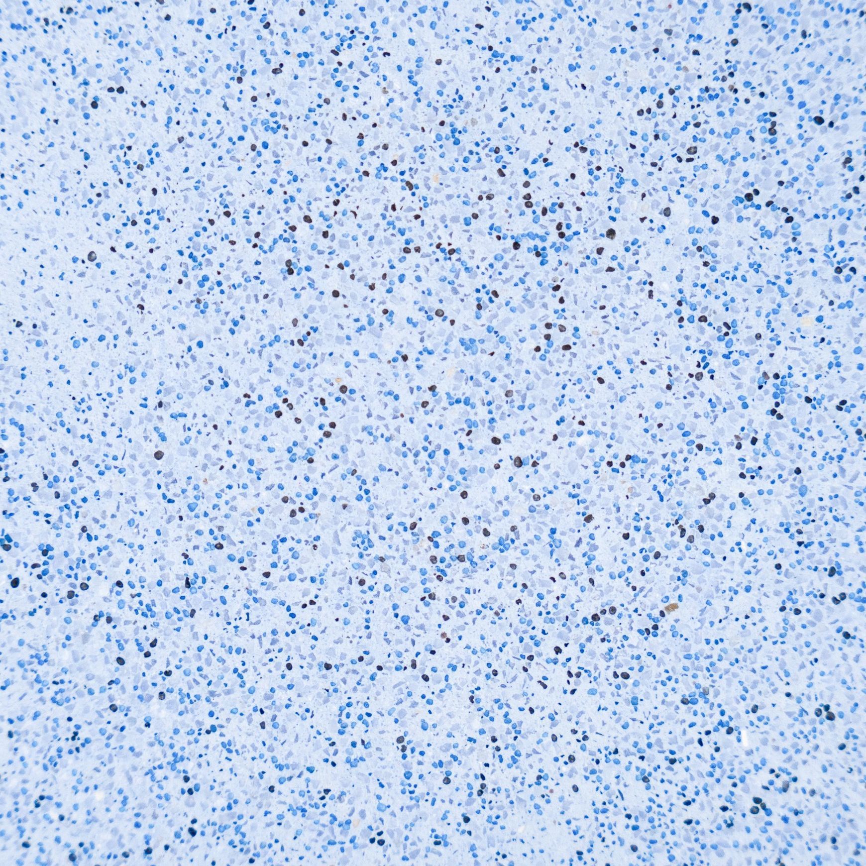 Ultra Quartz™ Pool Plaster