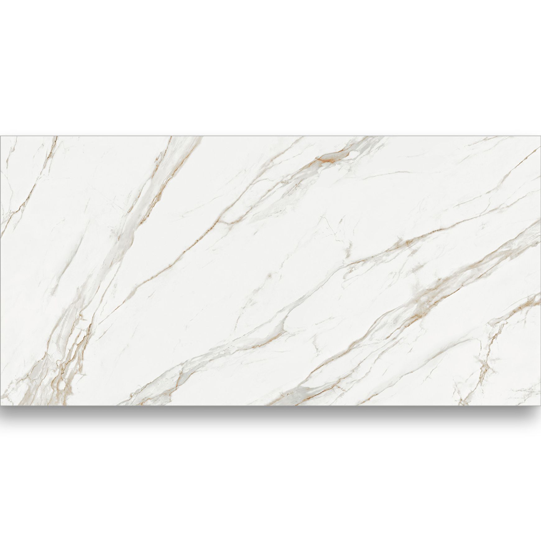 Cabota Calacatta Gold 1600x3200x20mm