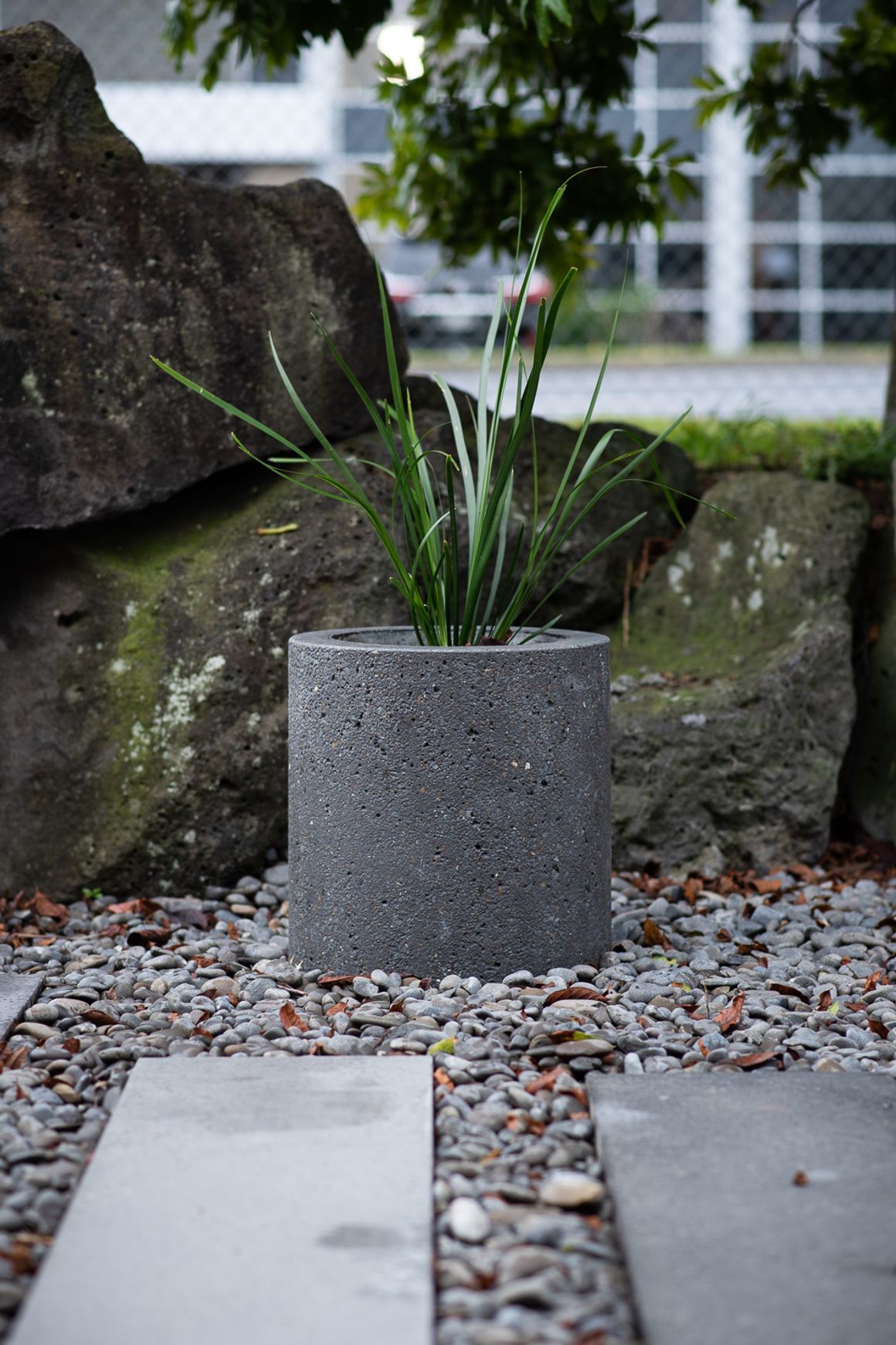 Concrete Planter Boxes