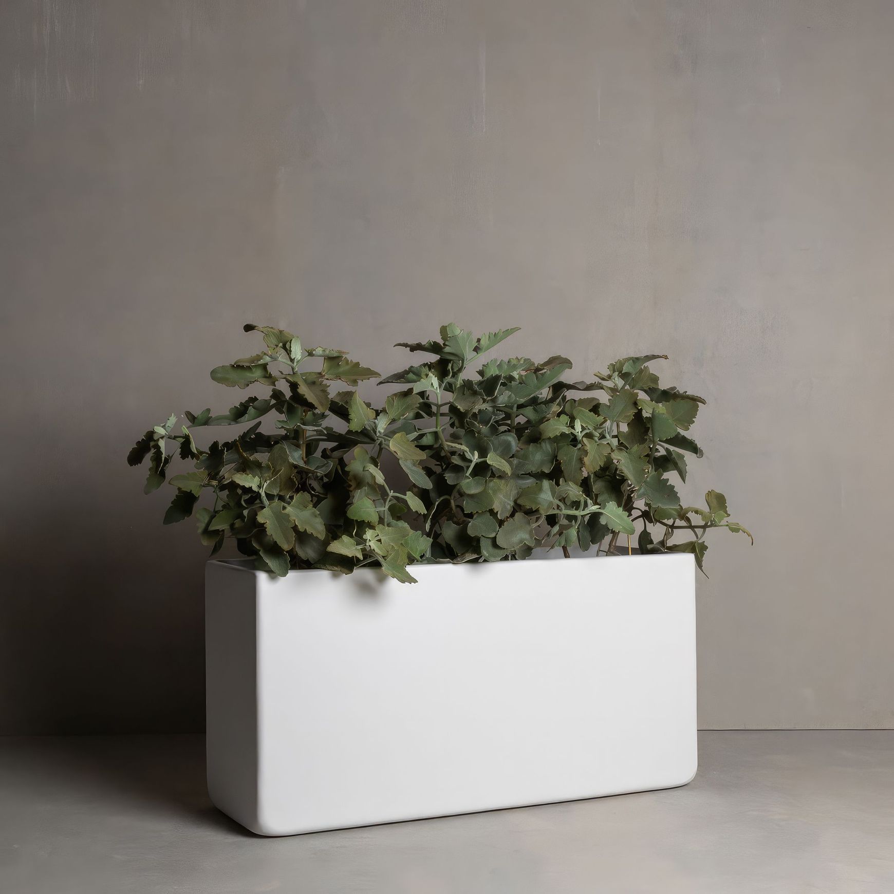 Hibernate Low Line Planters - Salt