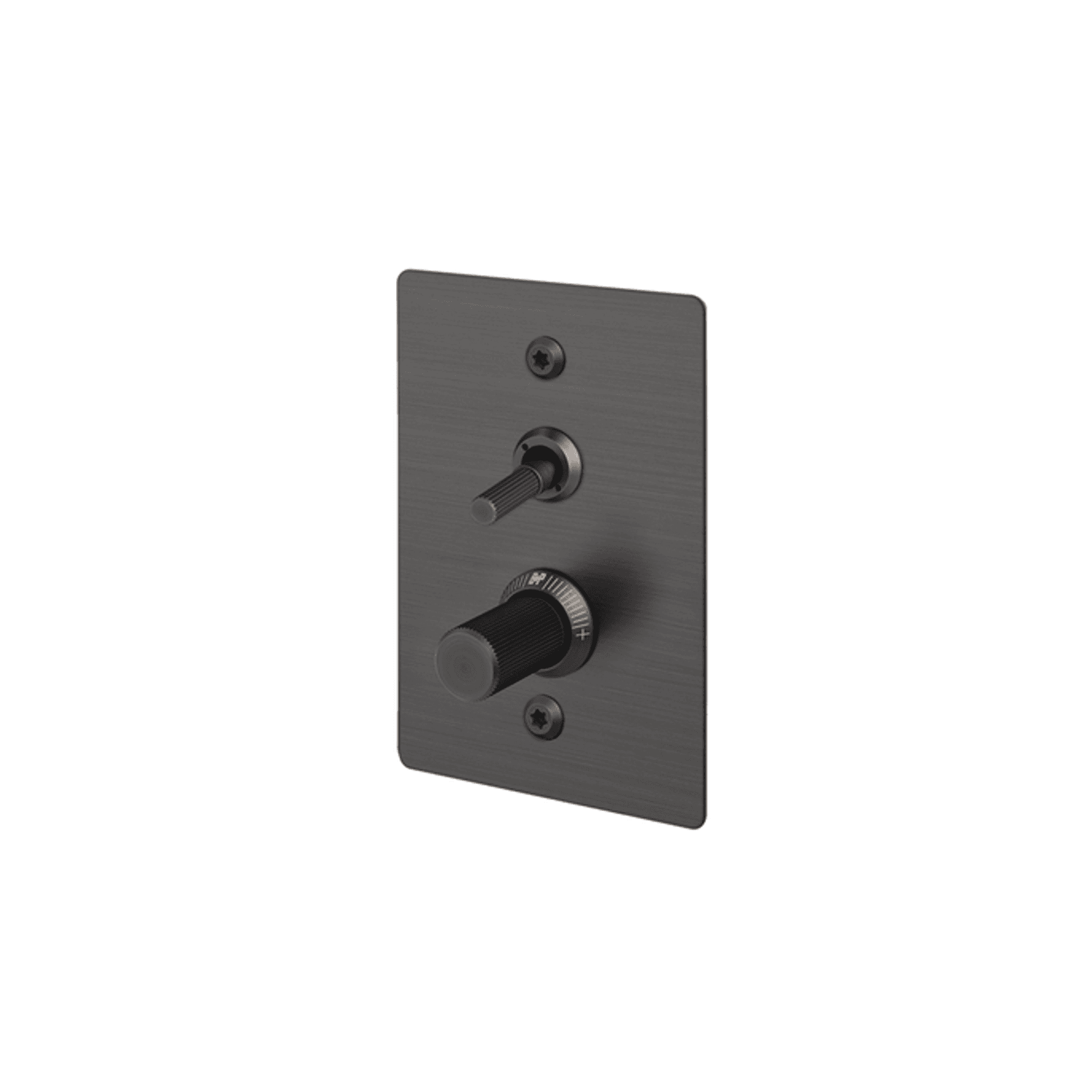 Buster + Punch 2G Toggle+Dimmer Vertical Linear