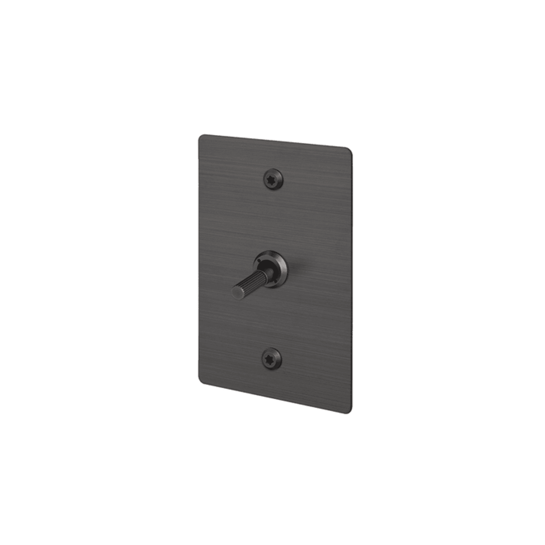Buster + Punch 1G Toggle Vertical 2-Way Linear