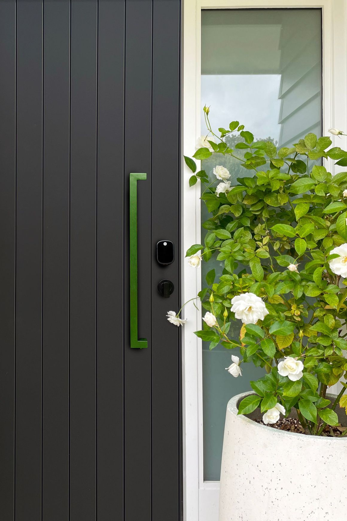 Lockwood Pull Handles