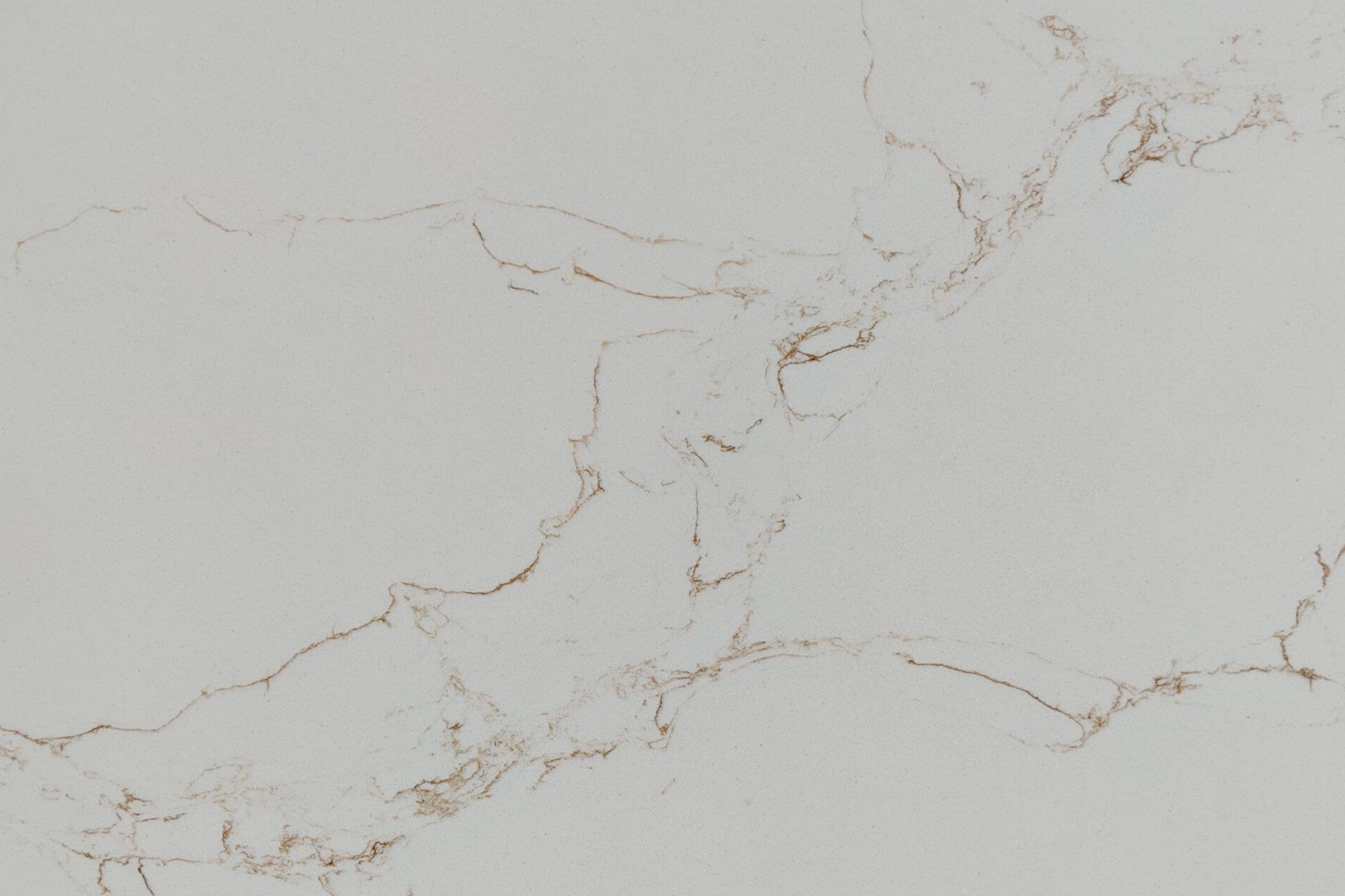 Calacatta Diana Gold | Quartz