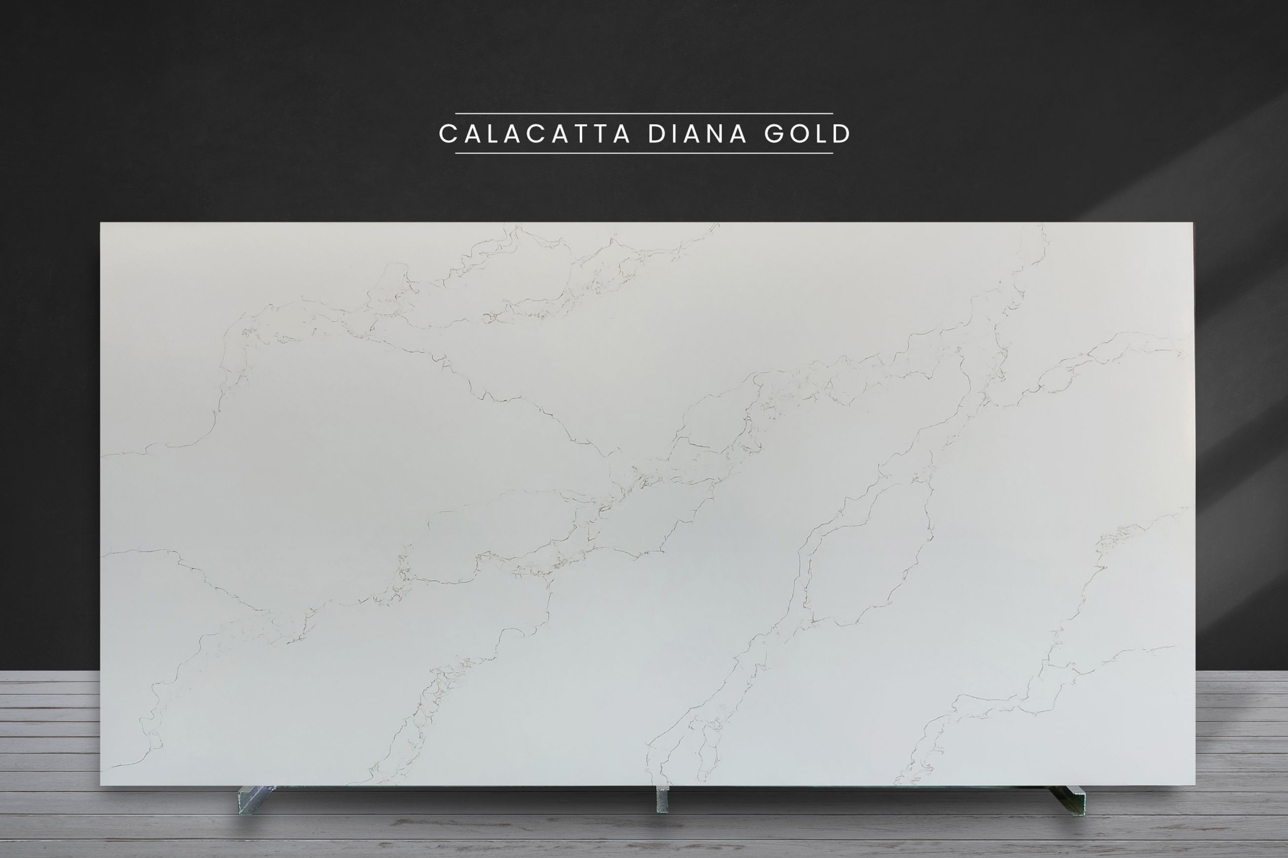 Calacatta Diana Gold | Quartz