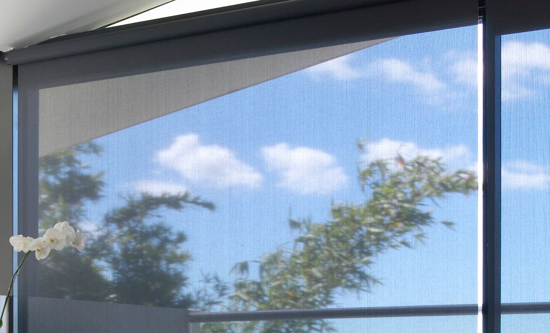 Ambience Heavy Duty Roller Blind | Roller Blinds