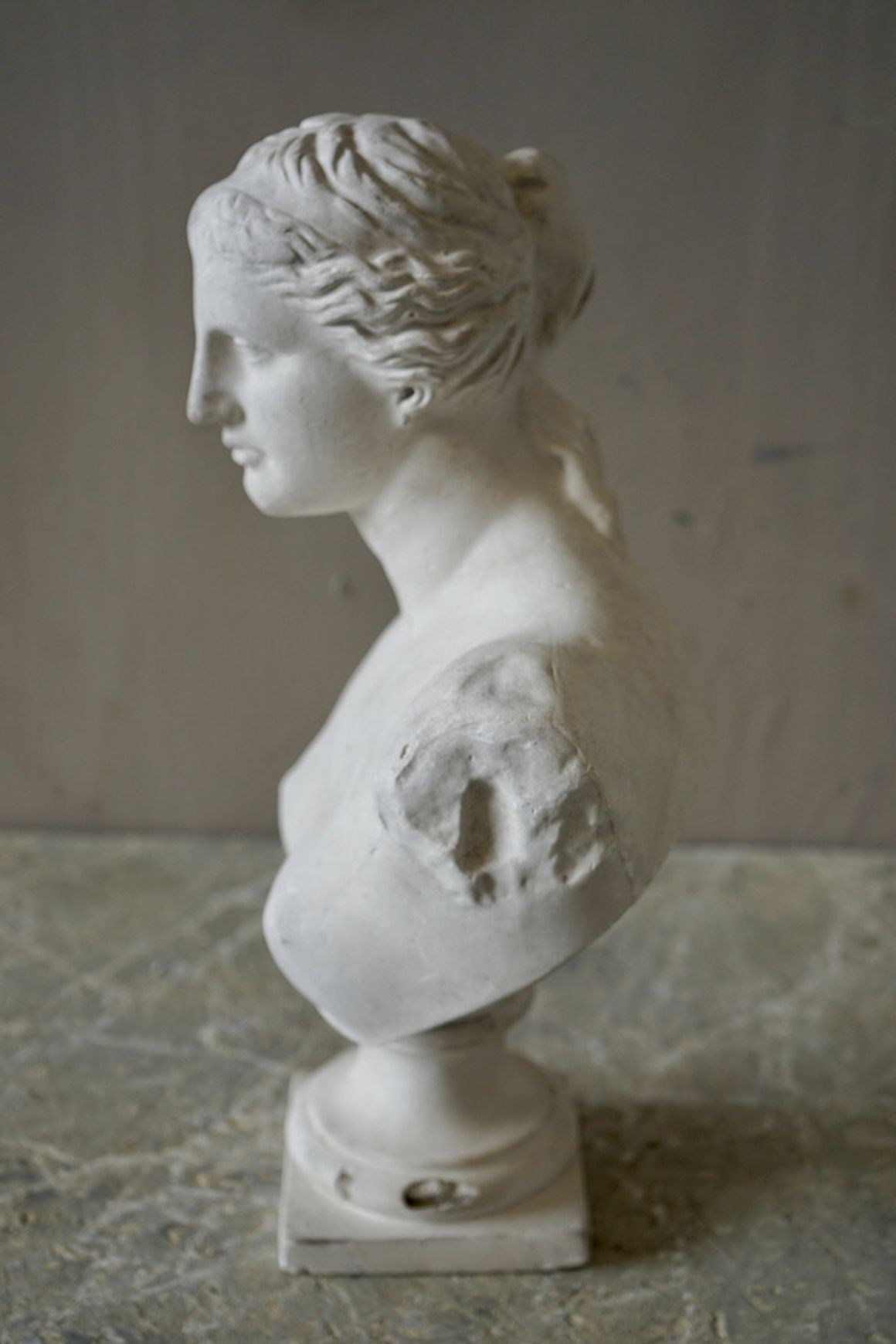 French Plaster Bust of Venus de Milo