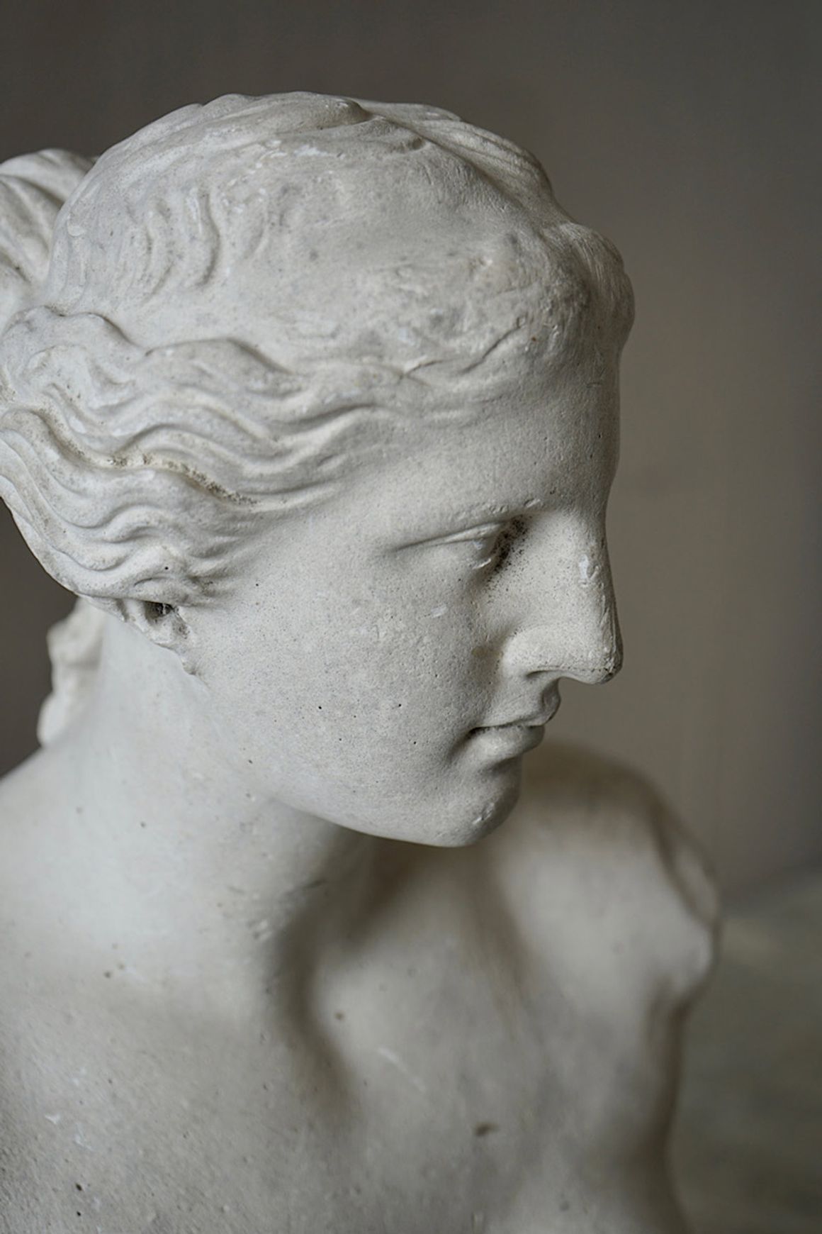 French Plaster Bust of Venus de Milo
