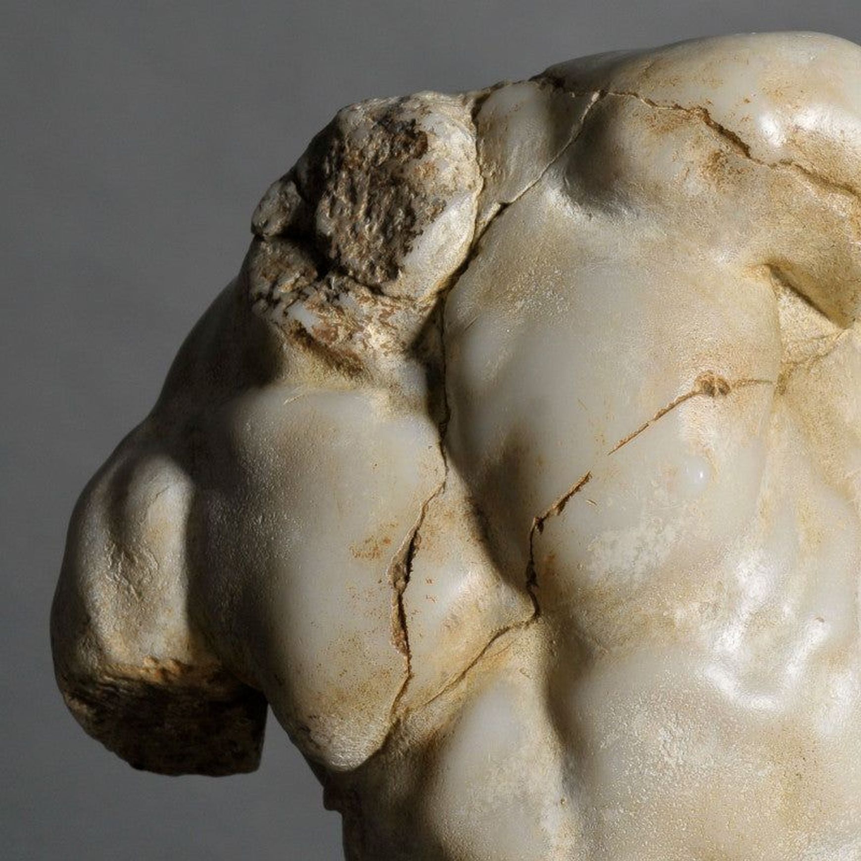 Apollo Torso