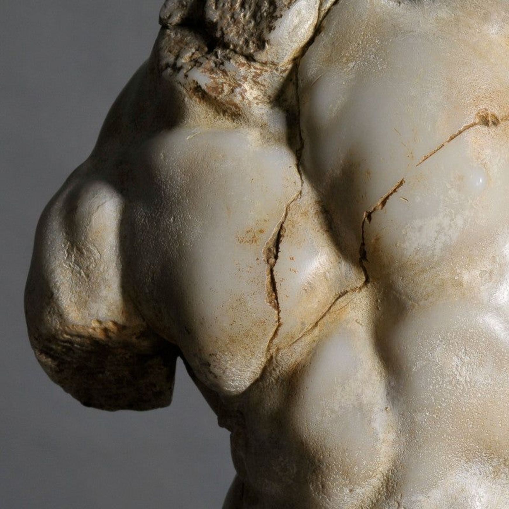 Apollo Torso
