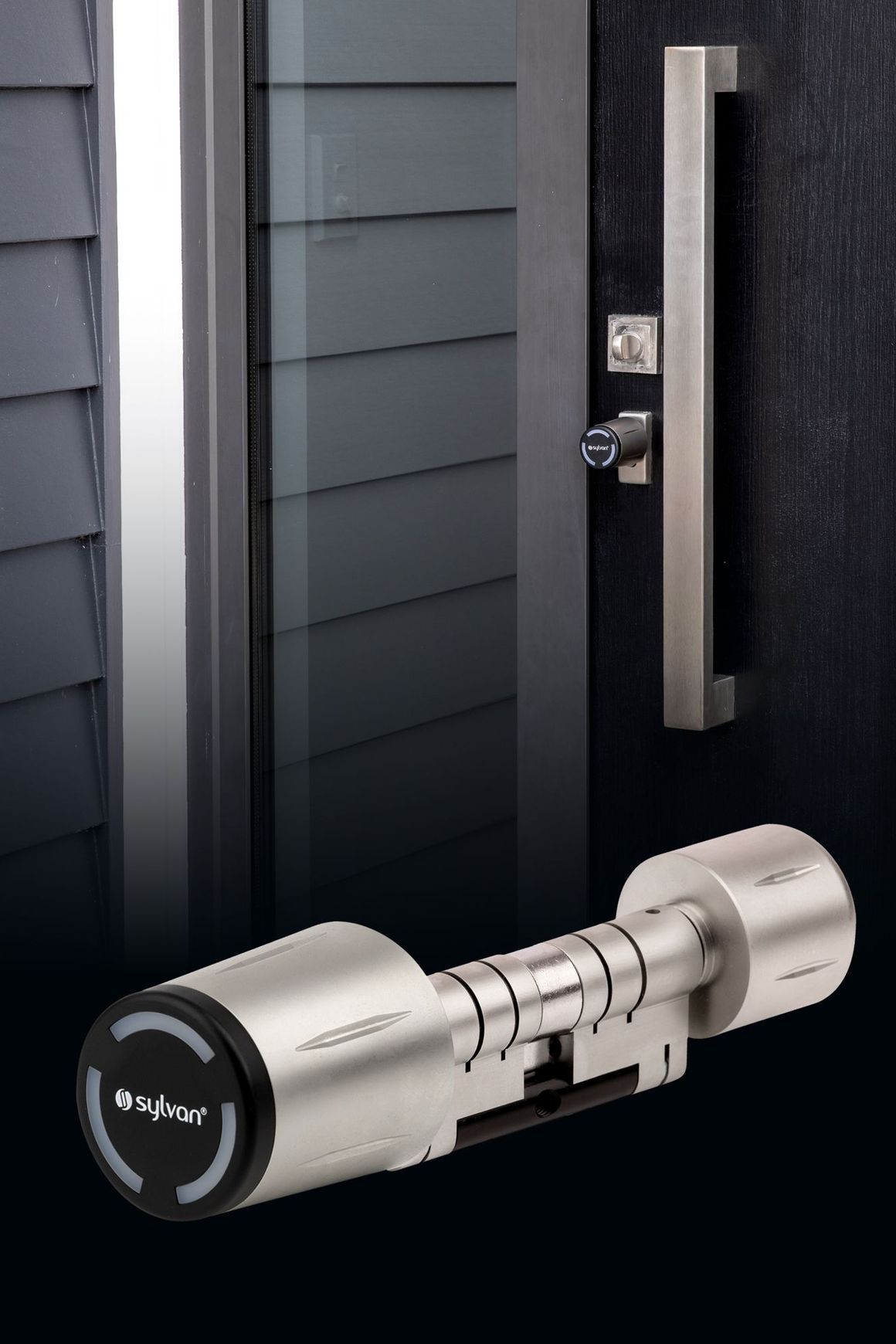 Smart Euro Cylinder