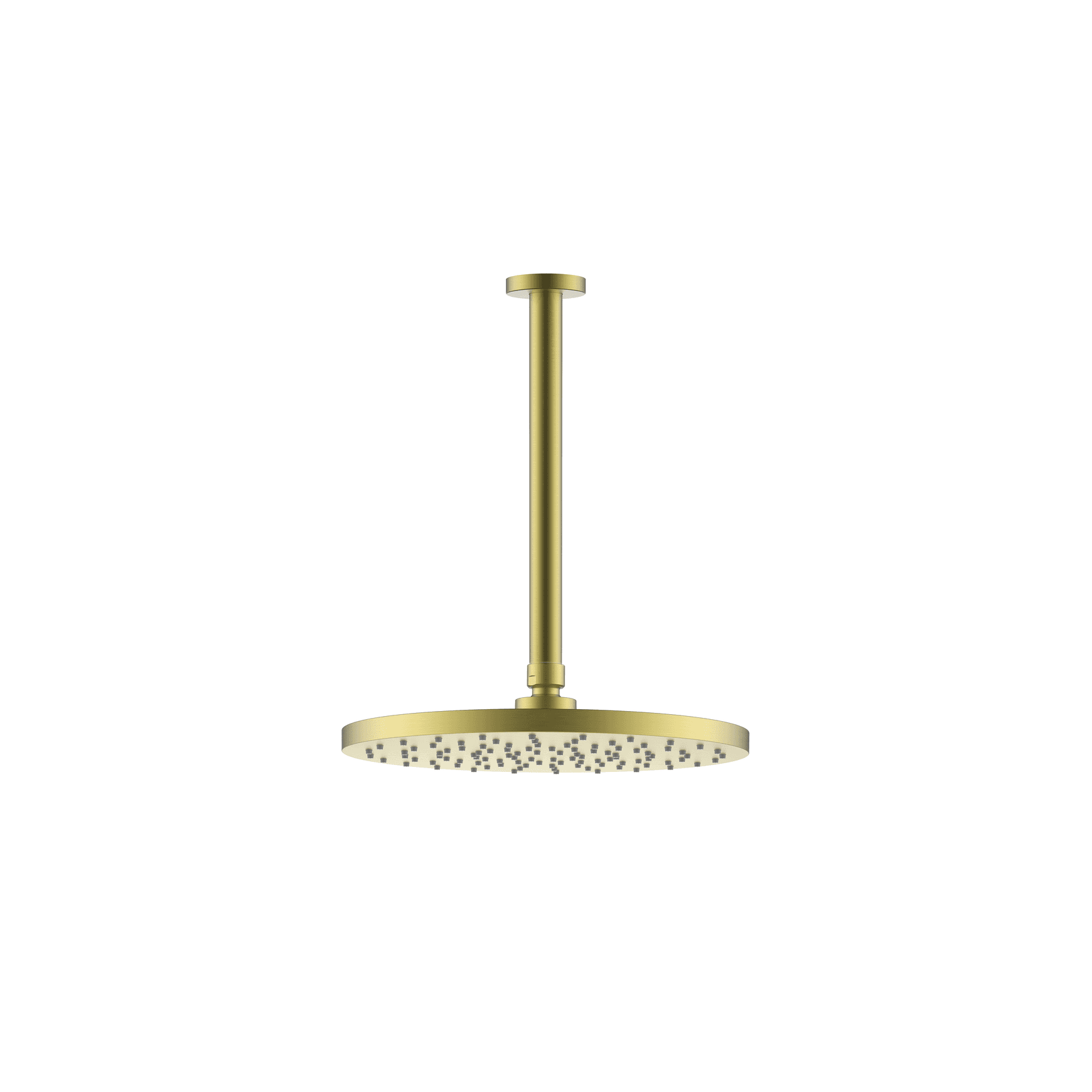 Evoke Shower Rain Head (Ceiling Mount)