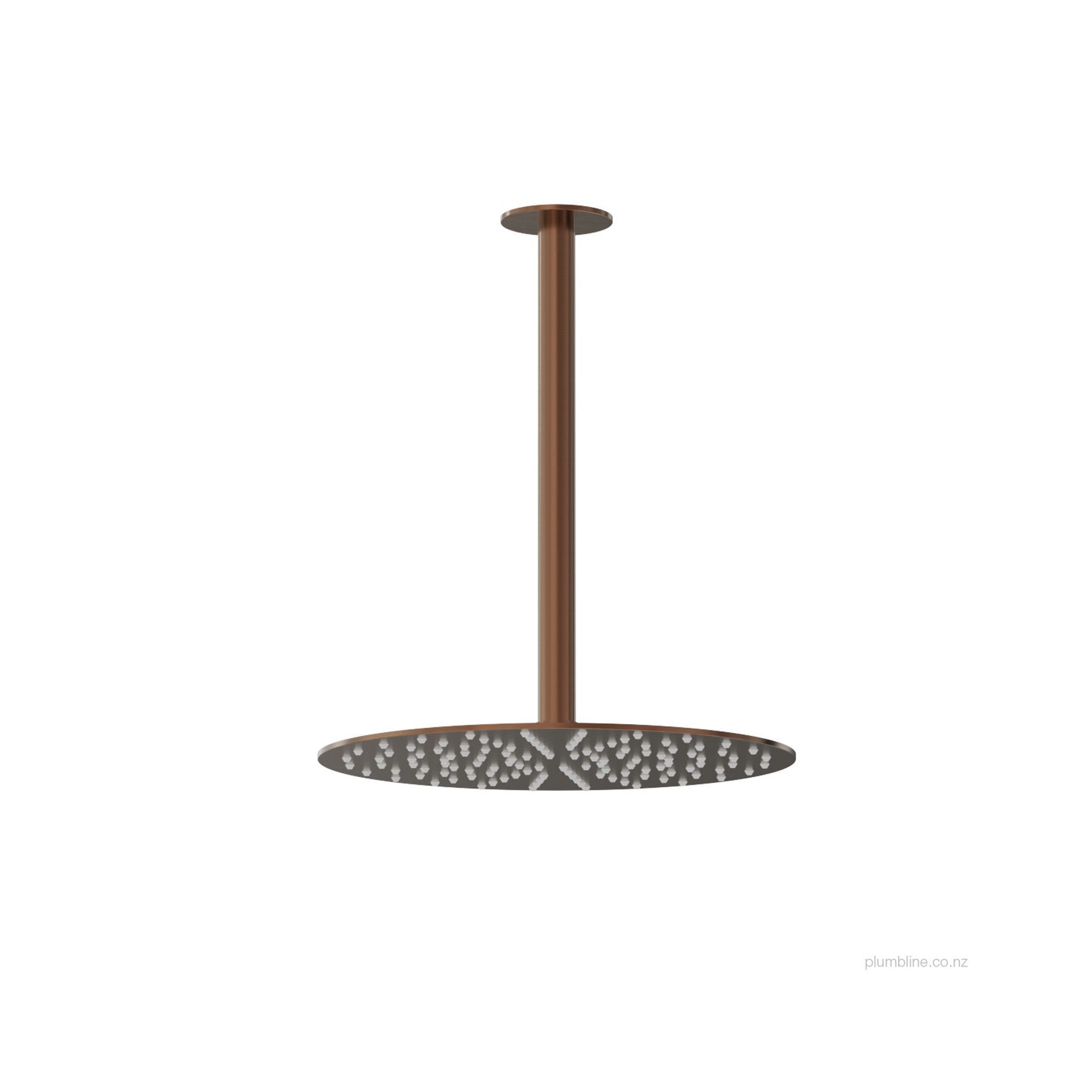 Oli 316 250mm Ceiling Mount Rainhead