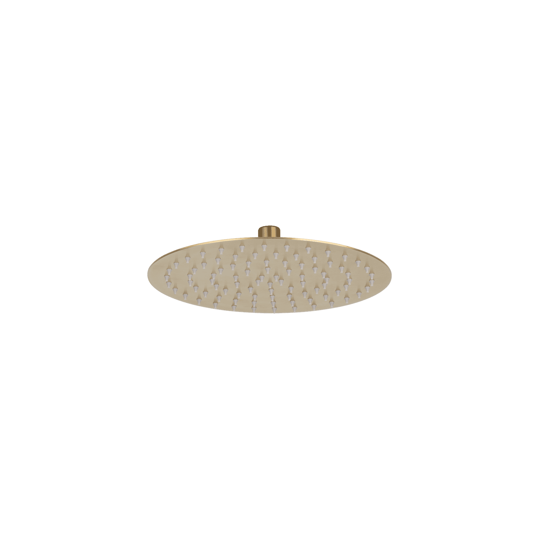 Sola Shower Head