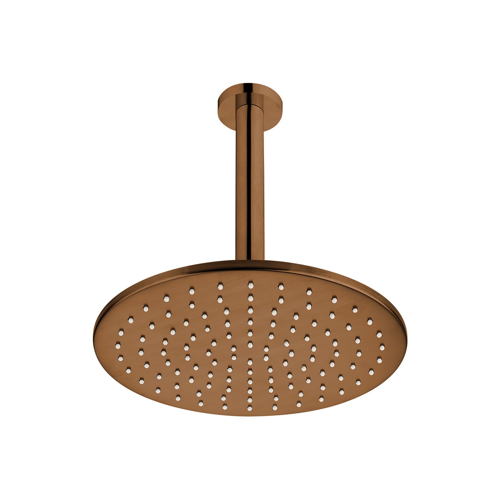 Voda Round Ceiling Mounted Shower Drencher