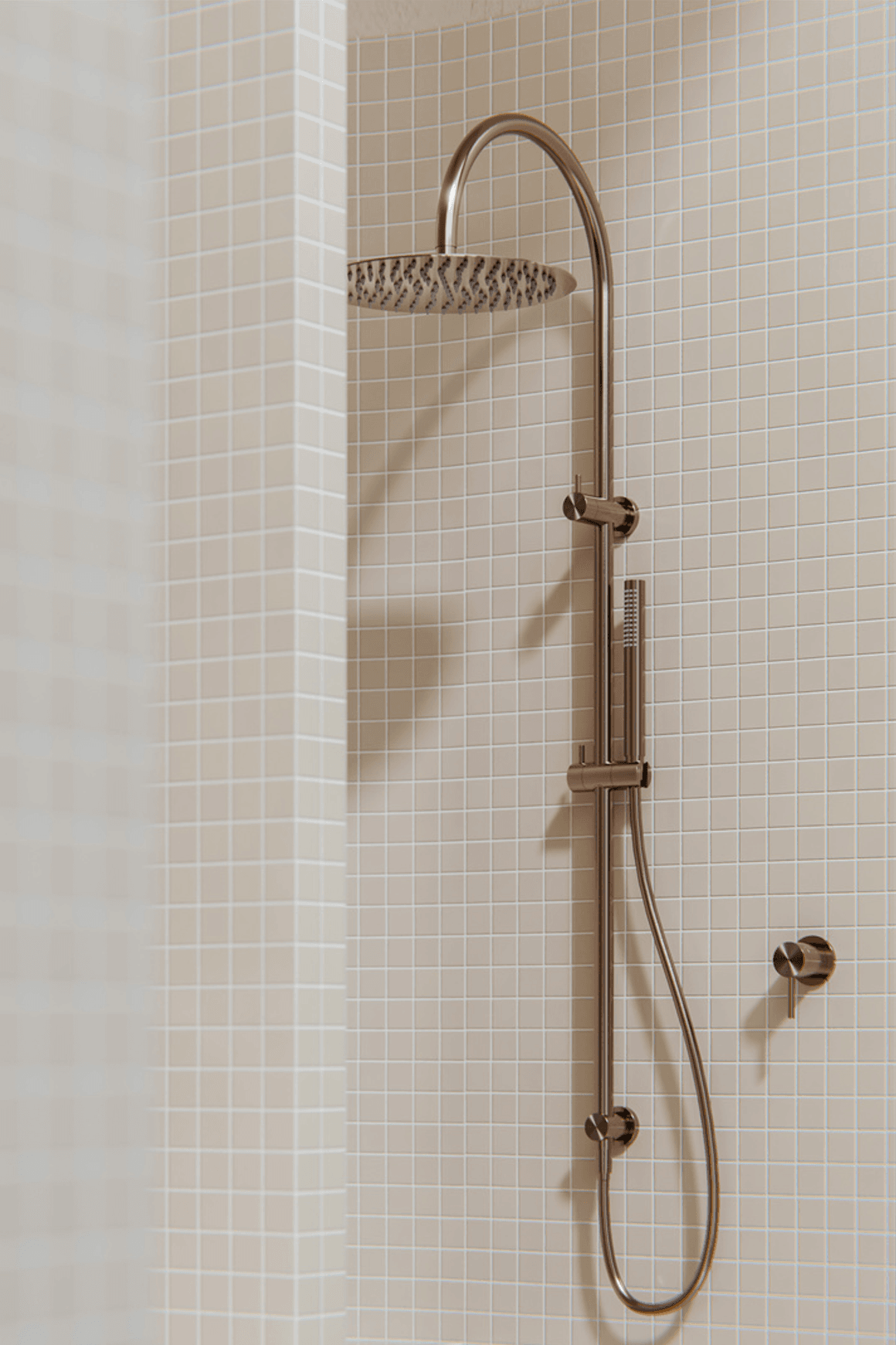 Zen SS316L Twin Shower | Brushed Bronze
