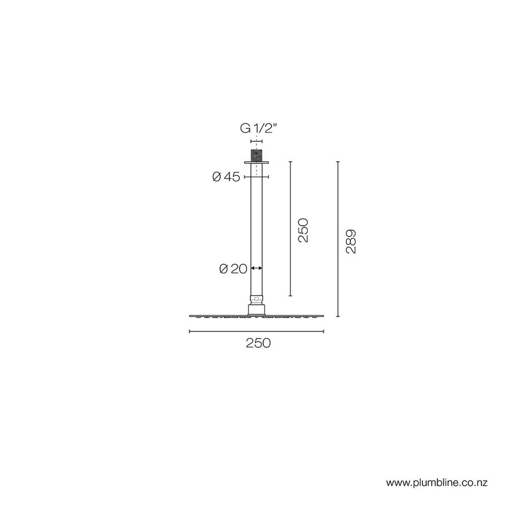 Oli 316 250mm Ceiling Mount Rainhead