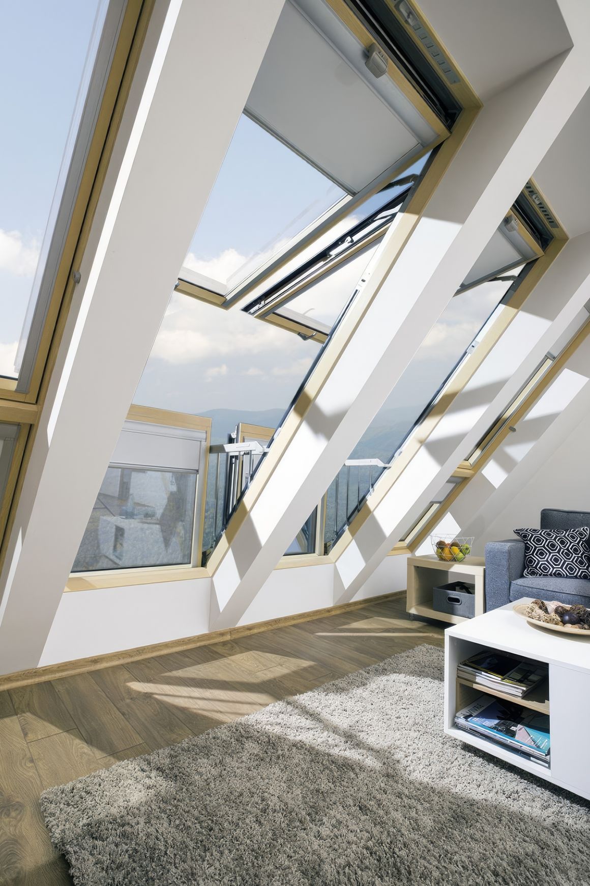 FPS Roof Window Range