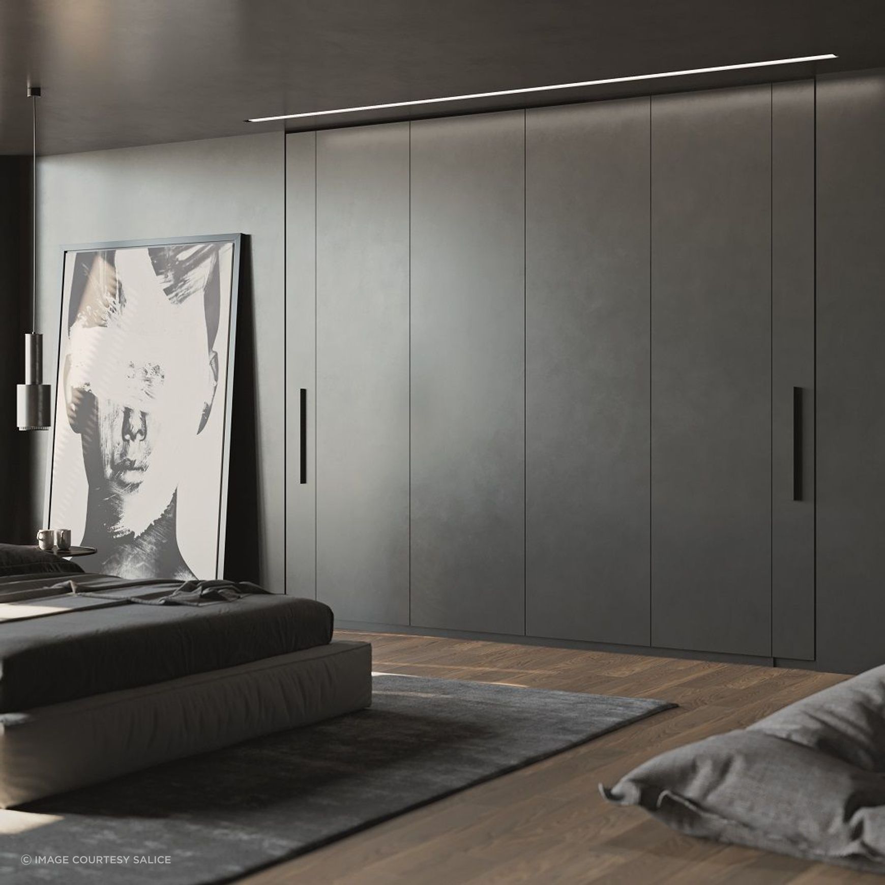 Salice Exedra2 Bifolding Pocket Door