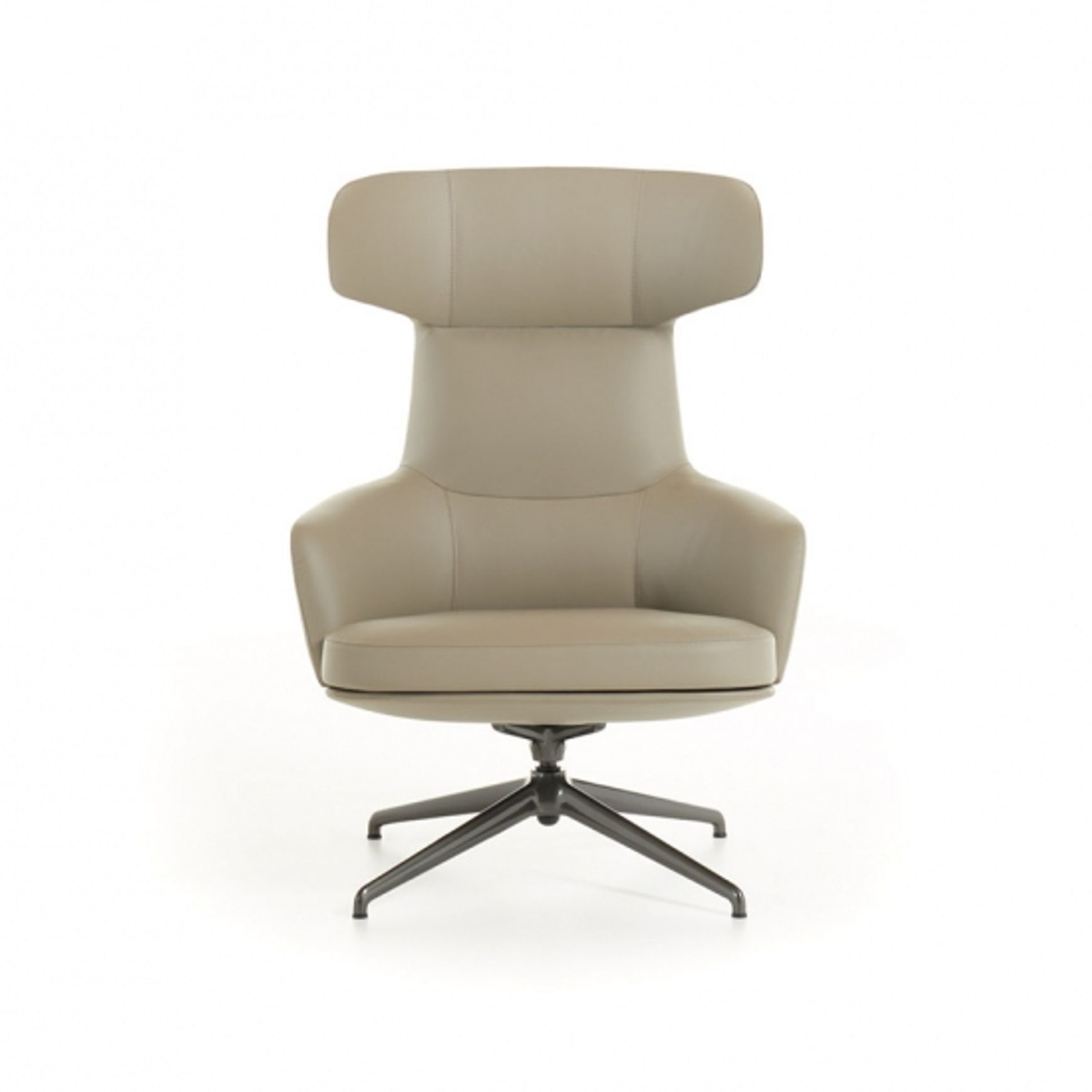 Piccadilly Armchair by Molteni&C