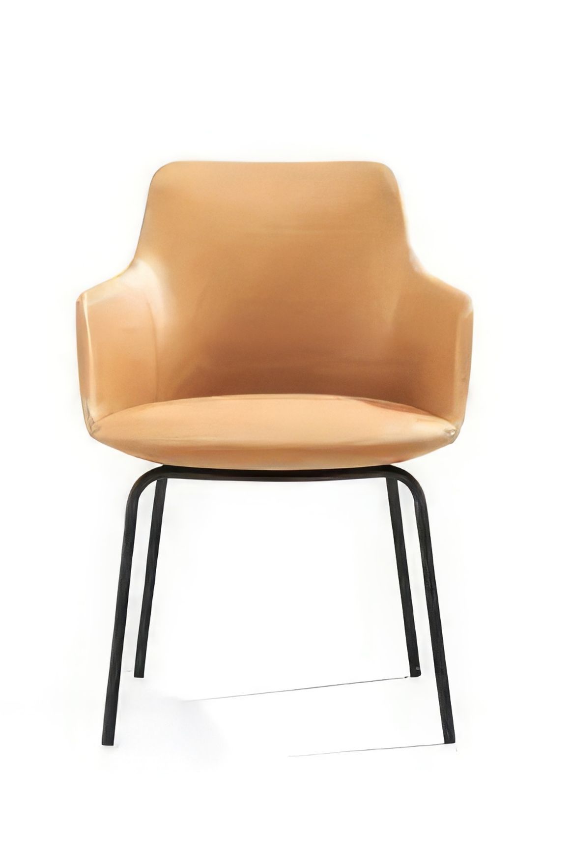 Telopea Arm Chair 3