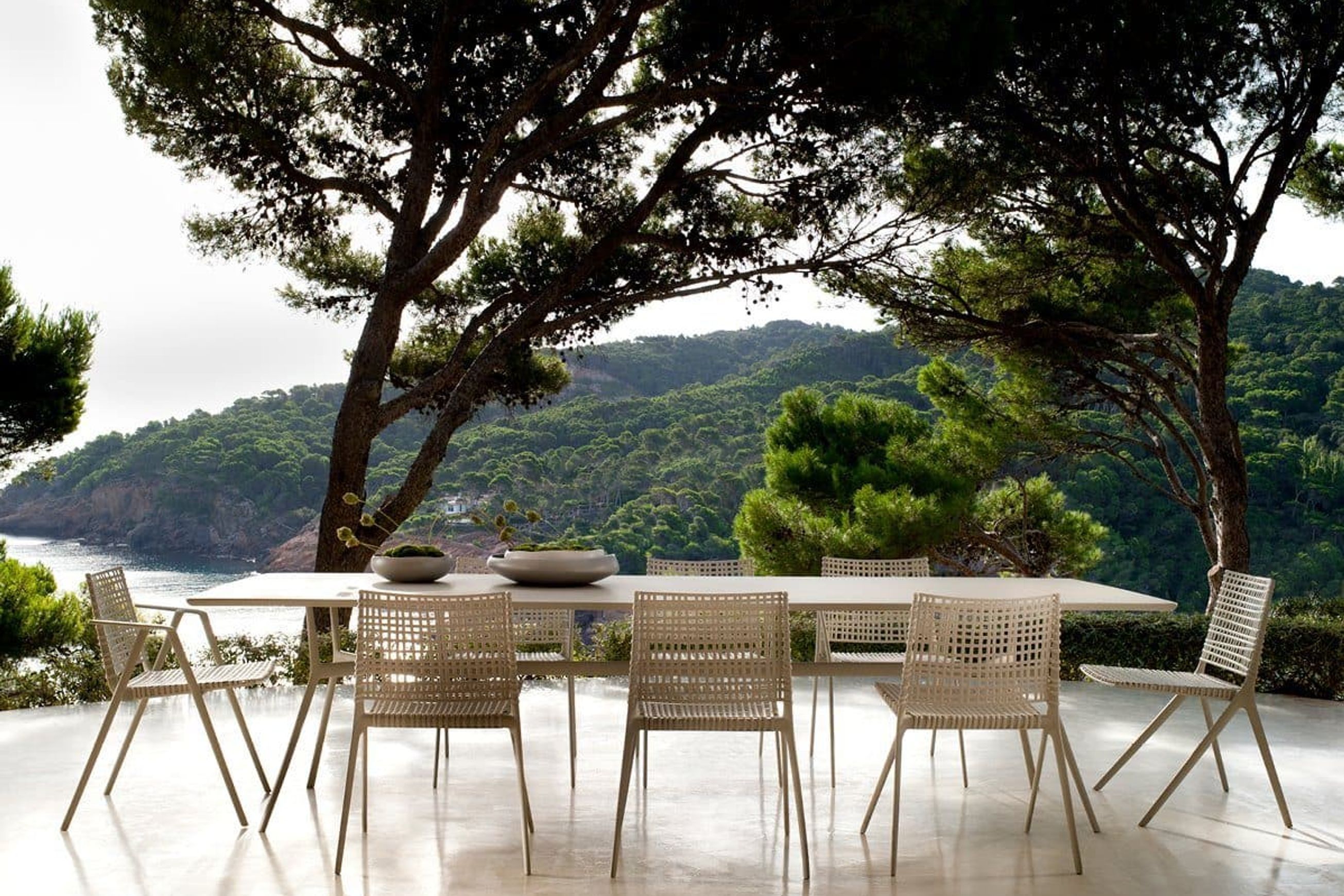 Branch | Armchair