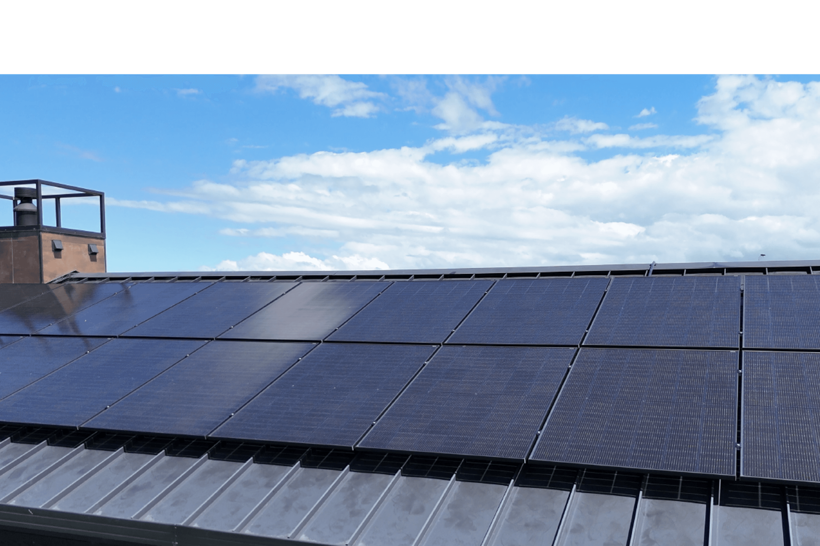 Trina Vertex S+ 445W Solar Panel